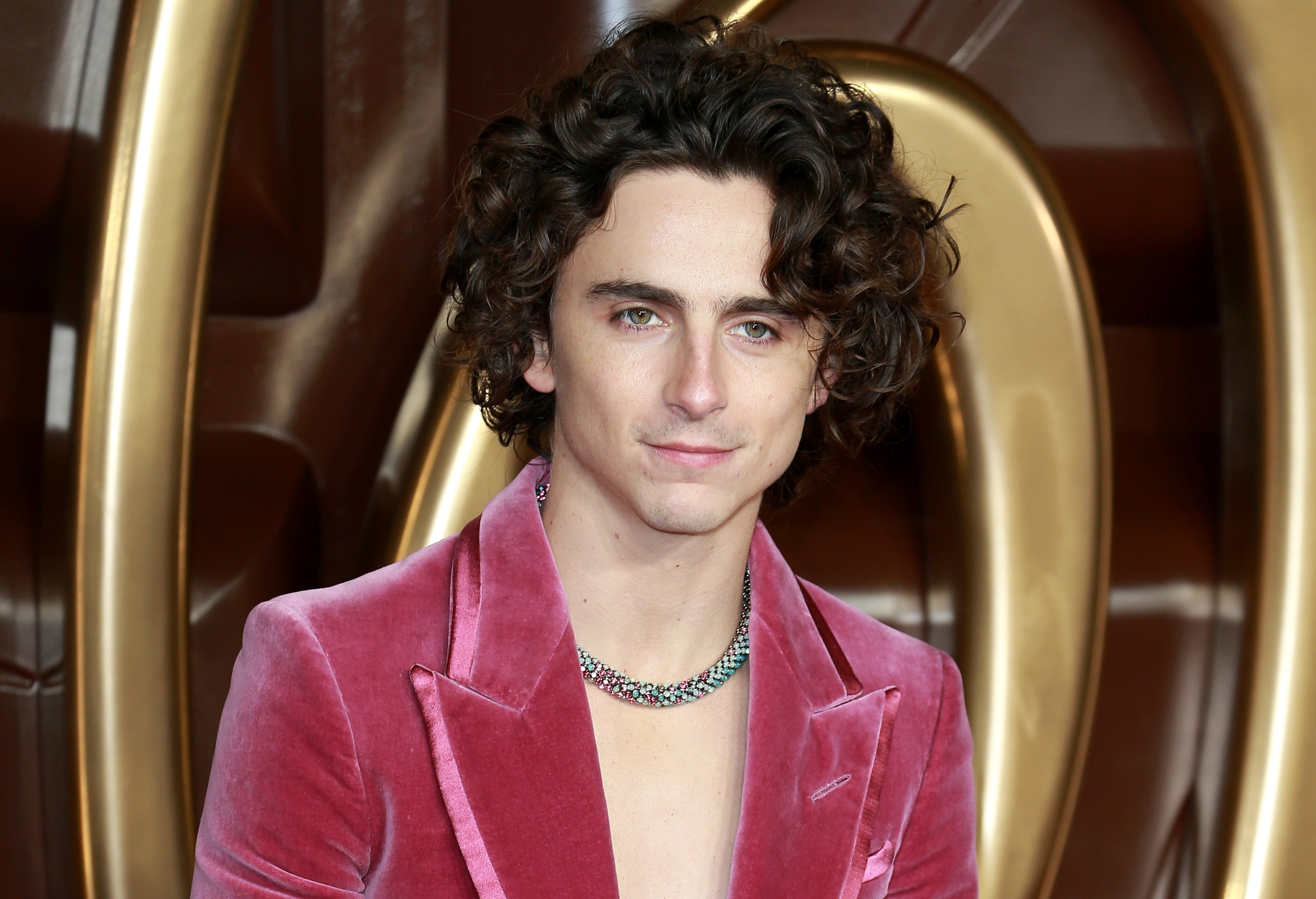 Timothe Chalamet at the Wonka World Premiere in London.