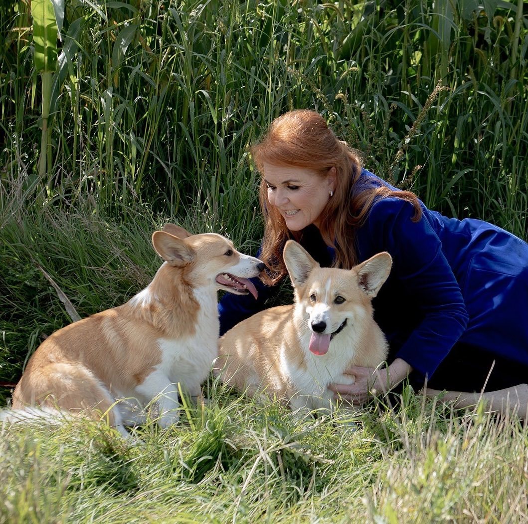 Sarah Ferguson with the late Queen's corgis Sandy and Muick.
