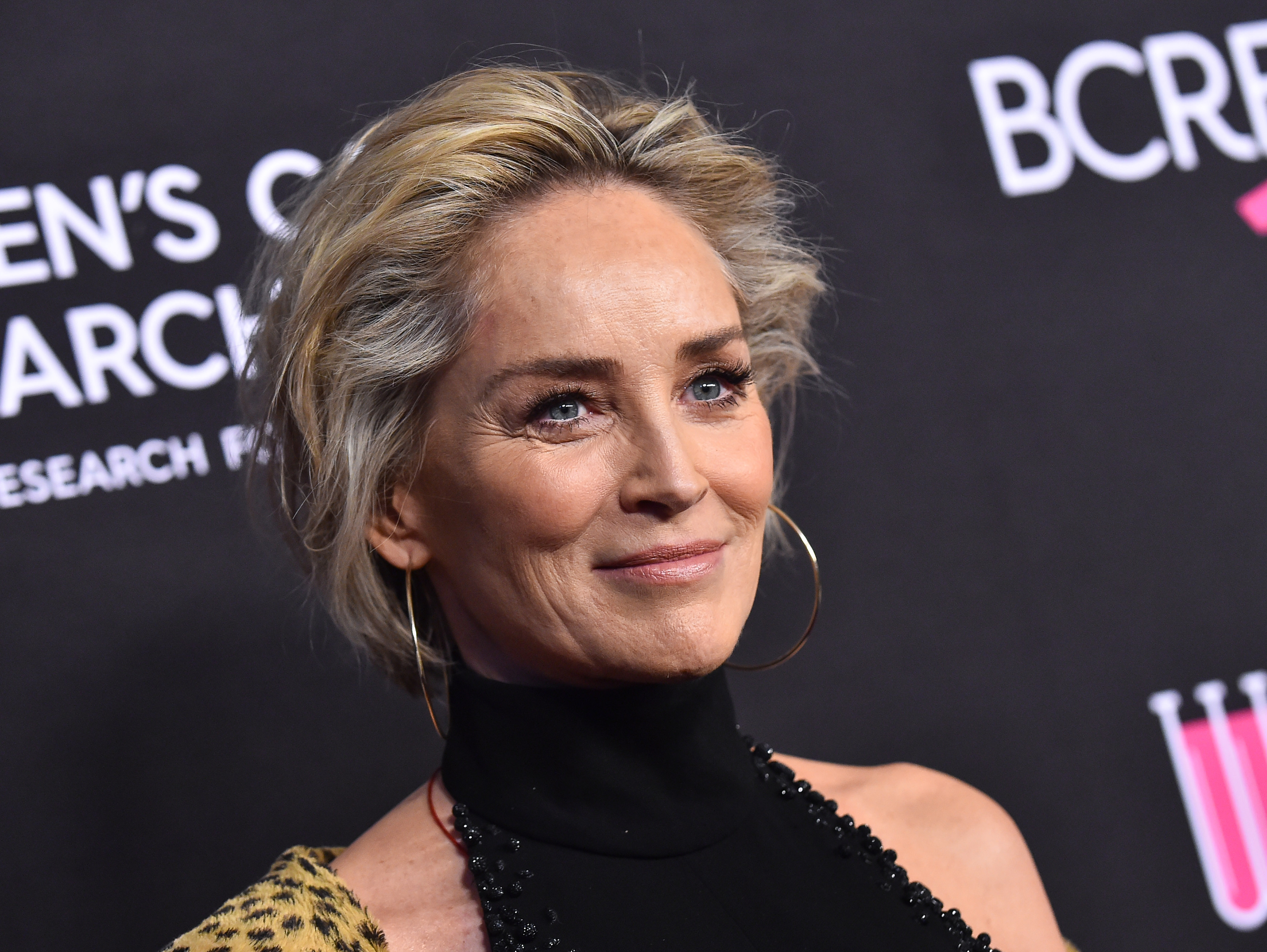 Sharon Stone, pictured in February 2019.