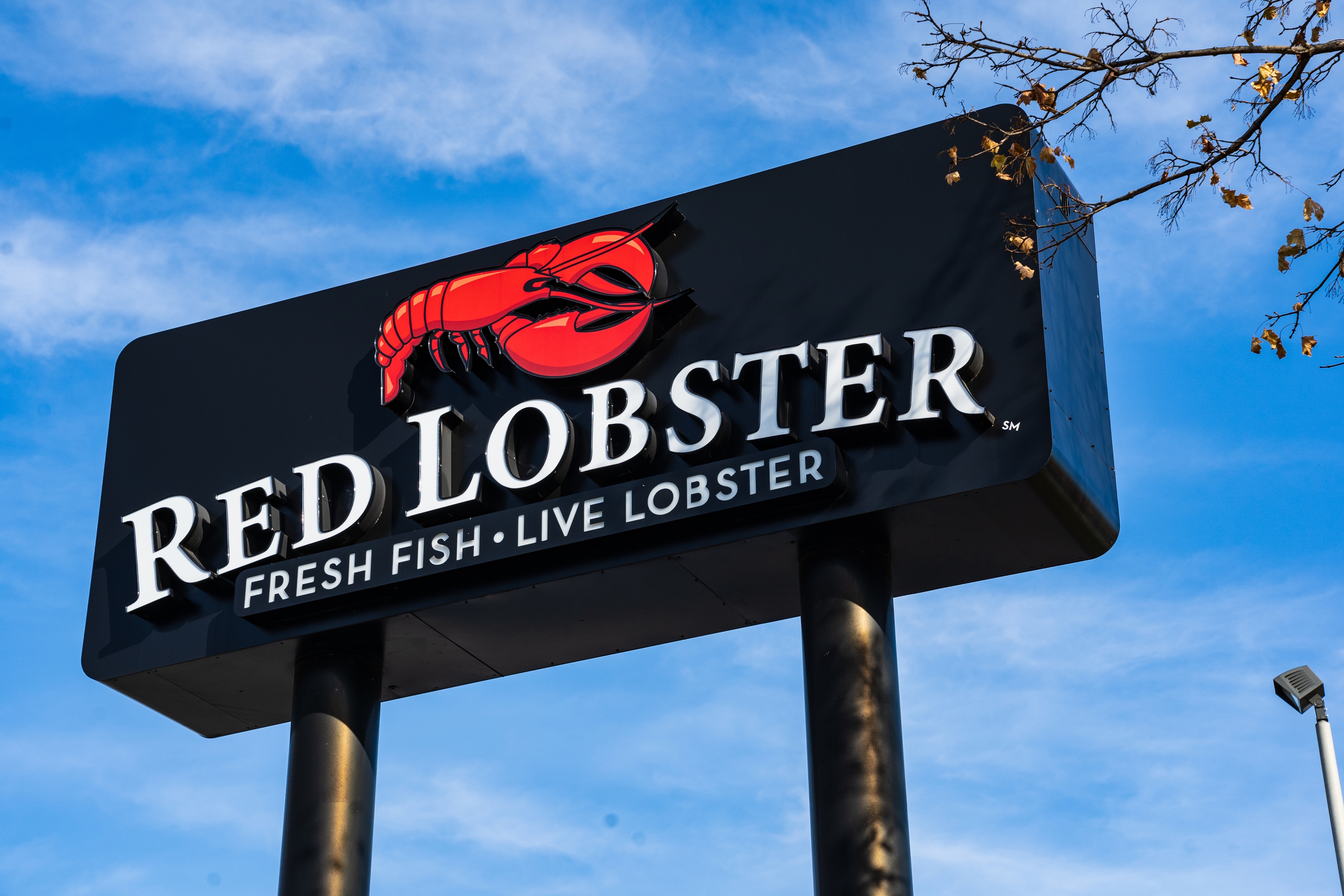 The American seafood restaurant chain, Red Lobster.