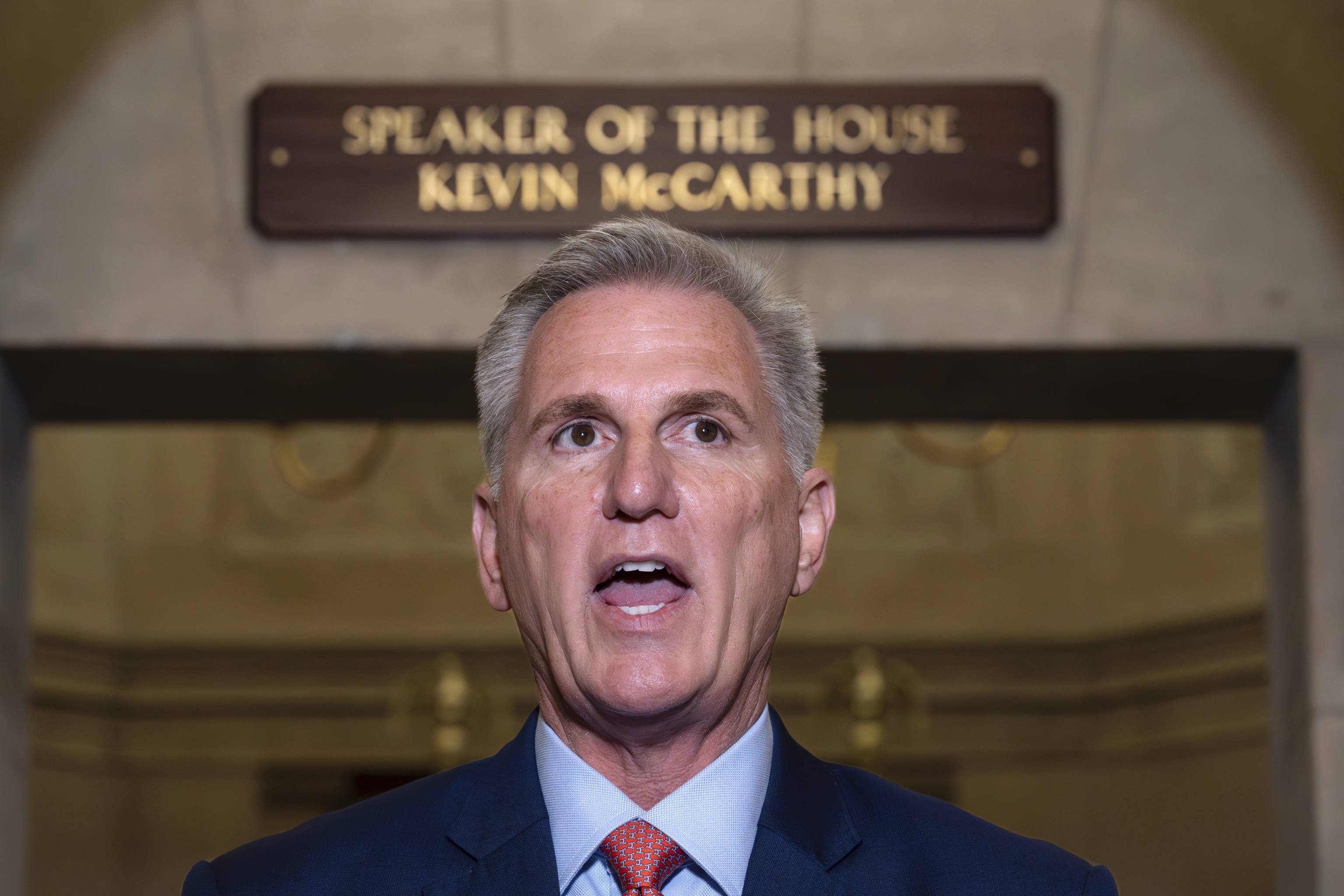 Speaker of the House Kevin McCarthy.