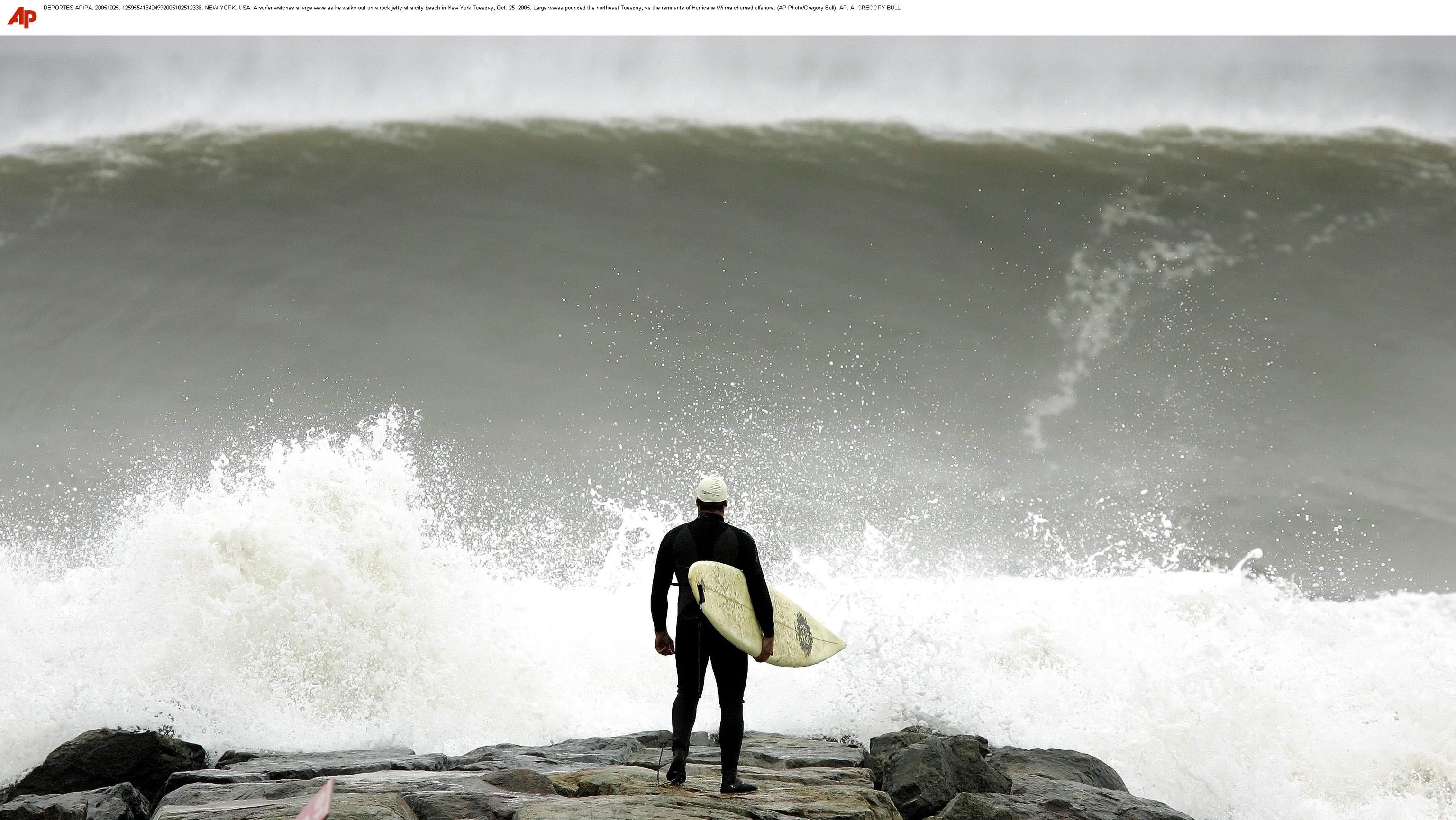 The surfer was struck by a large and dark object.