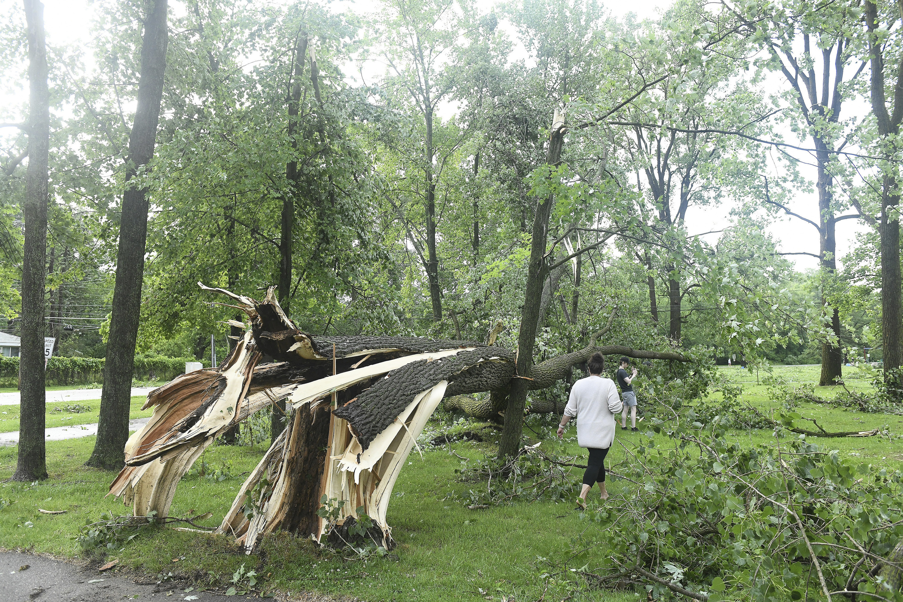 Laure Hibberd y su hijo, Johnny Hibberd caminan junto a un árbol derribado en el Rotary Park tras el paso de un tornado por la zona en Livonia, Michigan