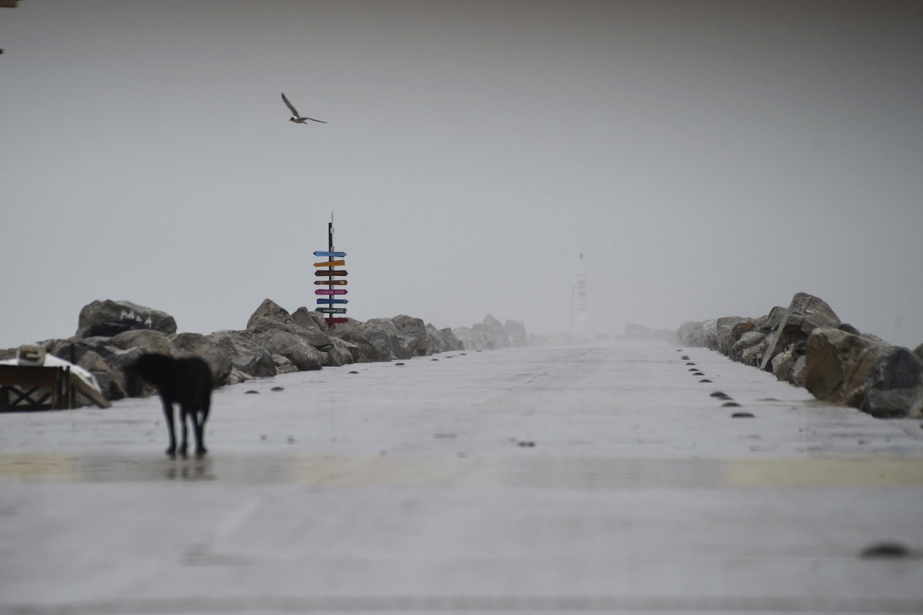 Deserted pier in Miramar, in the Gulf of Mexico.