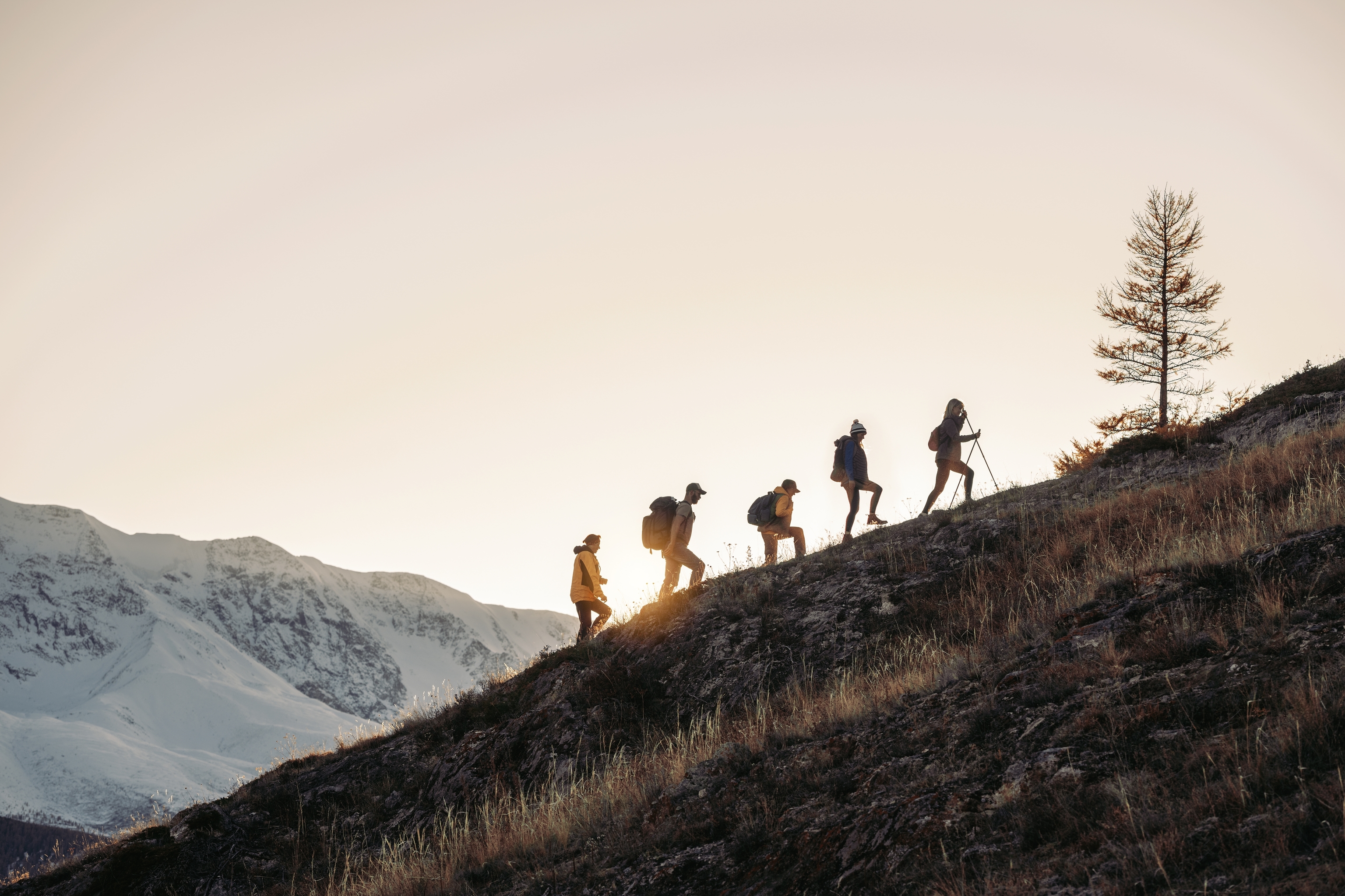 Group of hikers walk in the mountains.