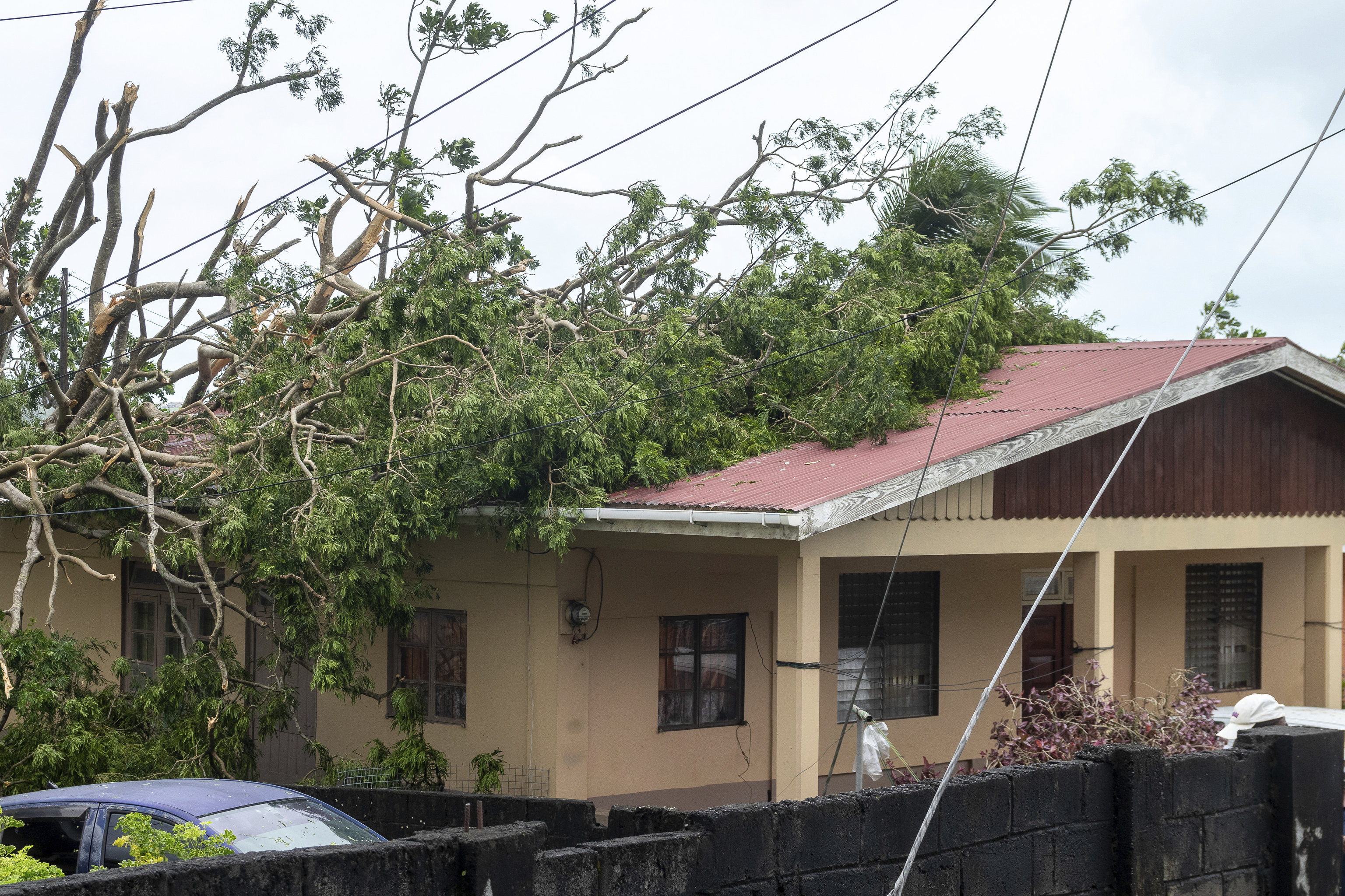 A tree lies on the roof of a house in Kingstown, St. Vincent and the Grenadines, after Hurricane Beryl.