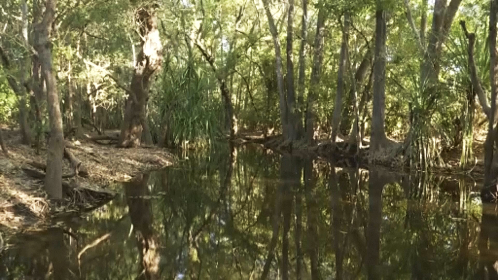 The girl vanished while swimming in a creek near the Indigenous community of Palumpa