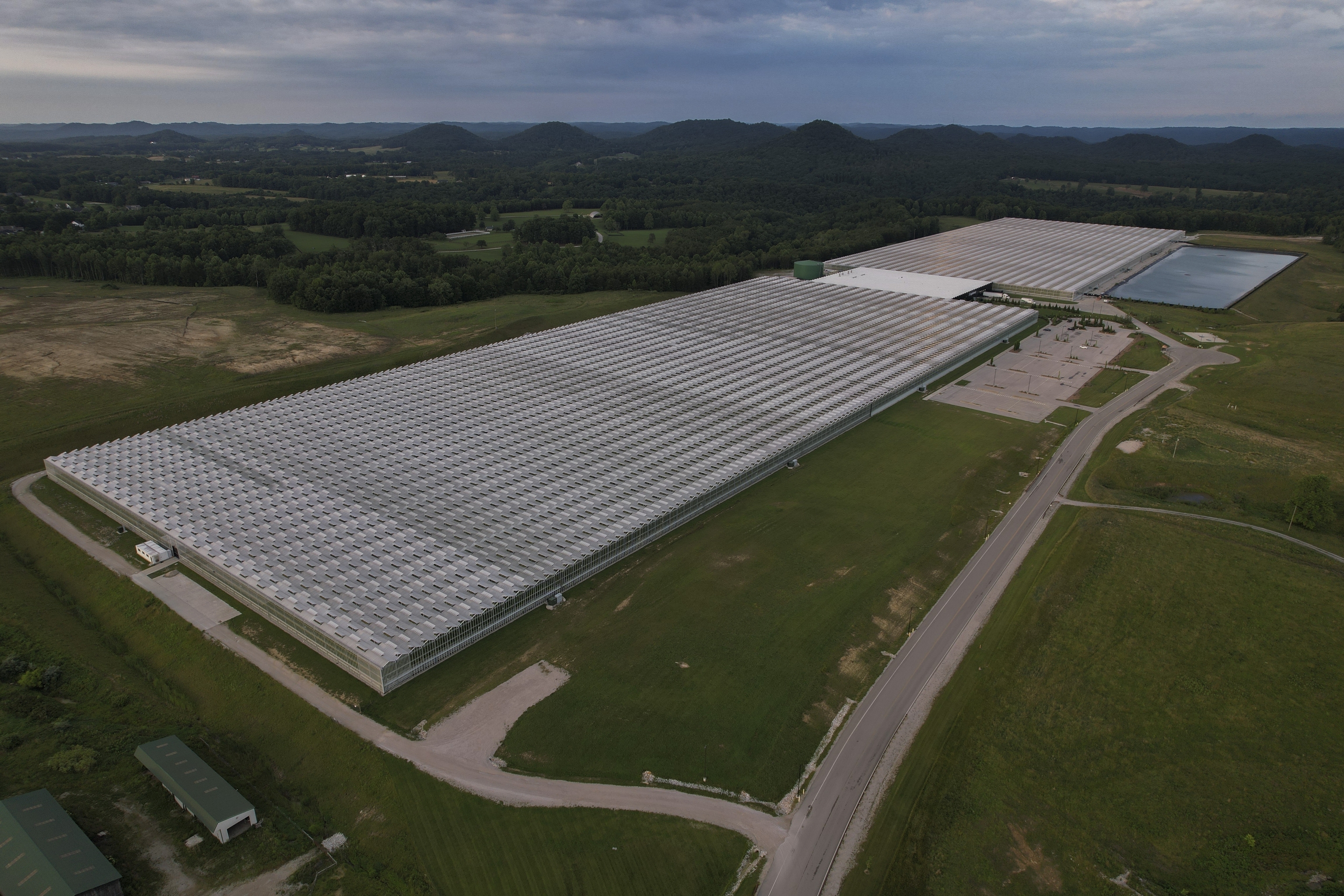 Greenhouse in Morehead, Ky.