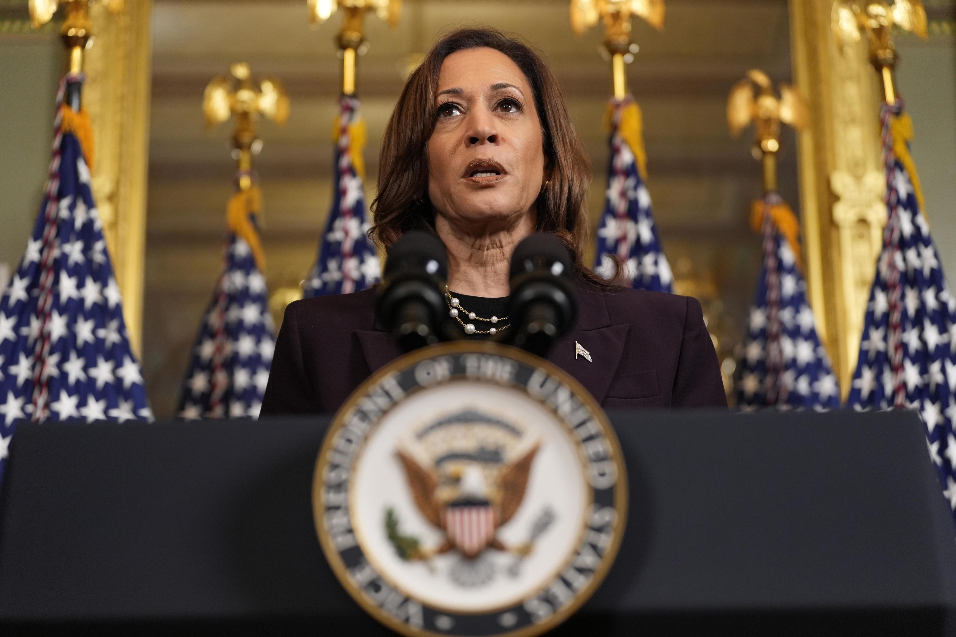 Kamala Harris speaks after meeting with Netanyahu.