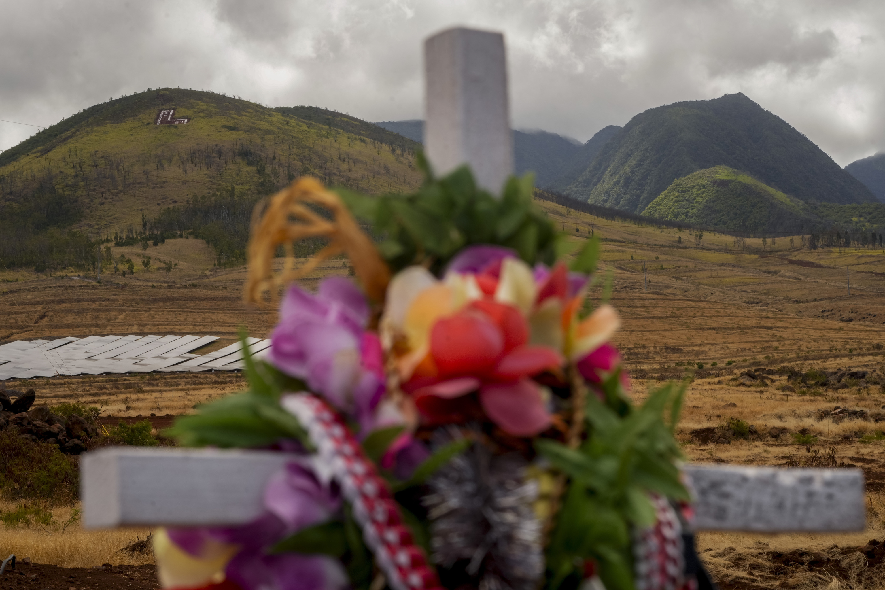 A cross adorned with leis is seen at a memorial for wildfire victims.