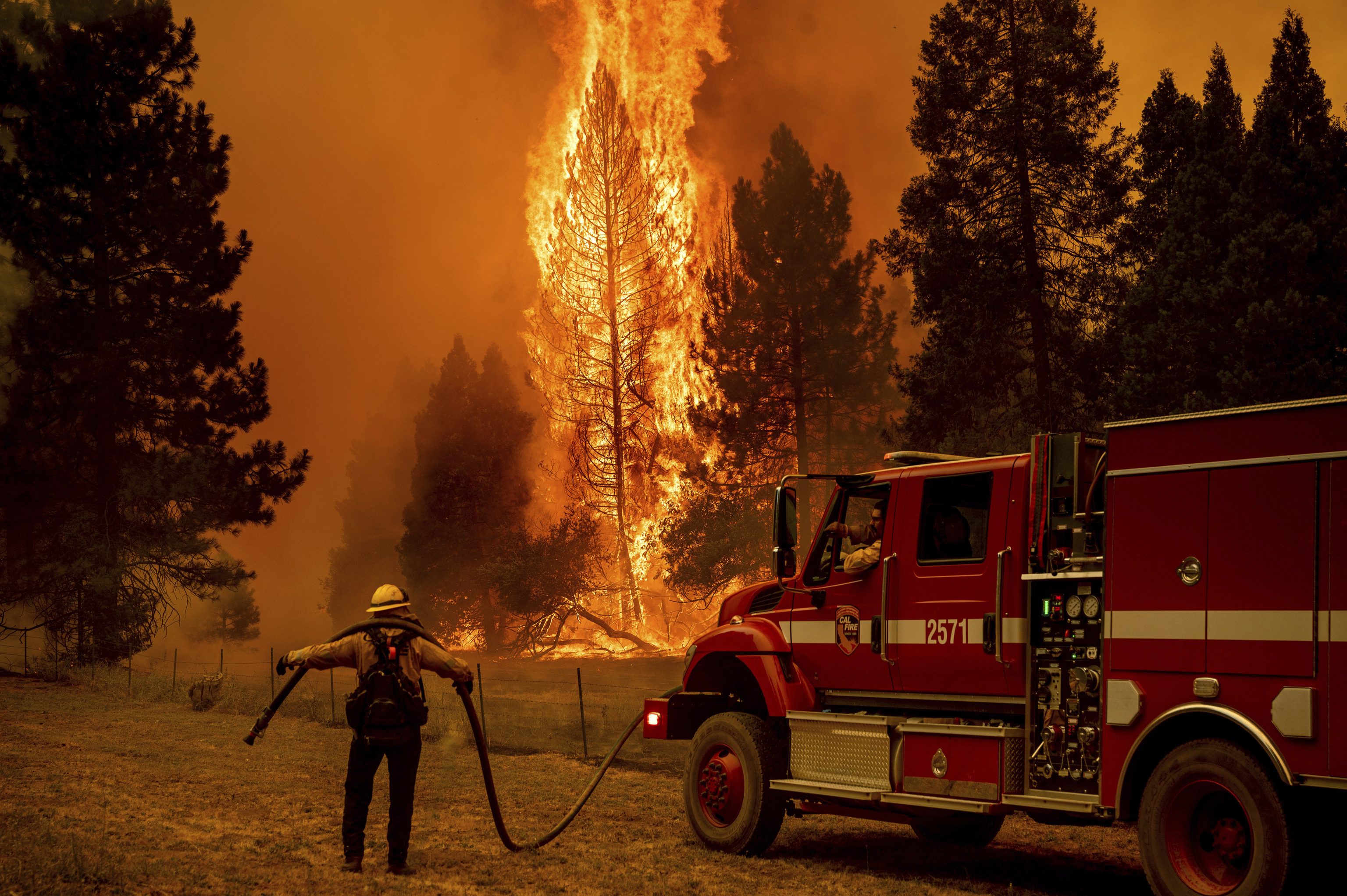 A firefighters holds a hose while battling the Oak Fire.