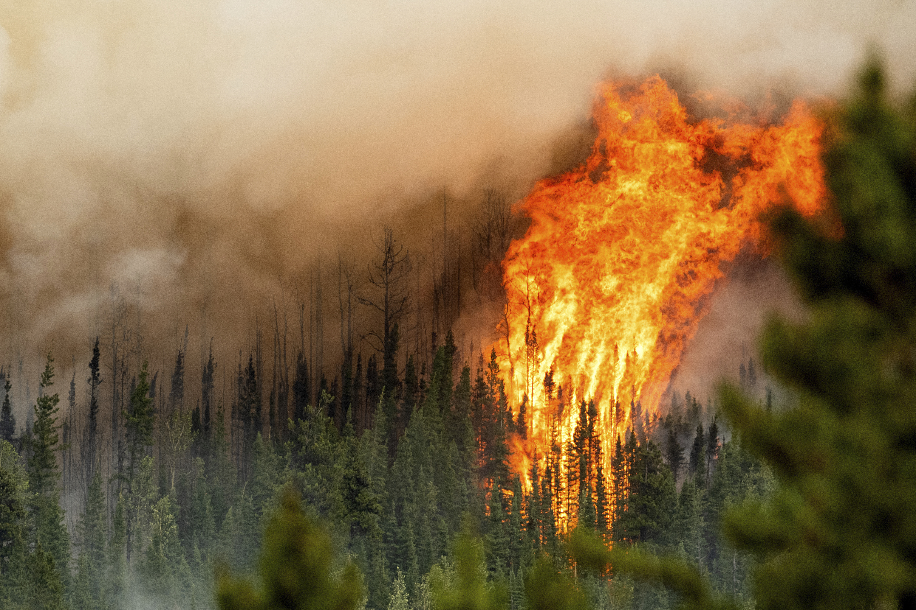 Flames from the Donnie Creek wildfire.