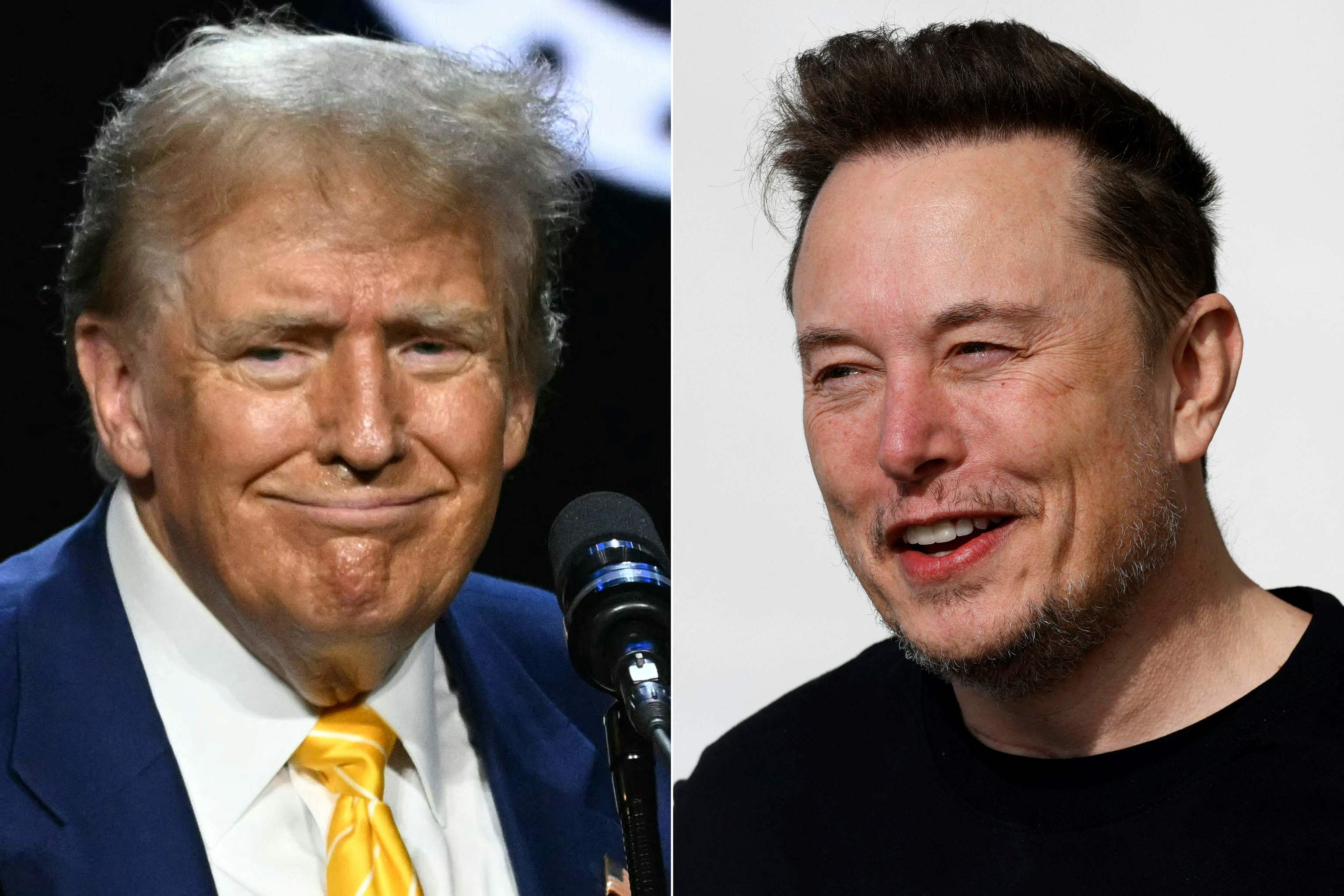 former US President and 2024 Republican presidential candidate Donald Trump and Tesla CEO Elon Musk.