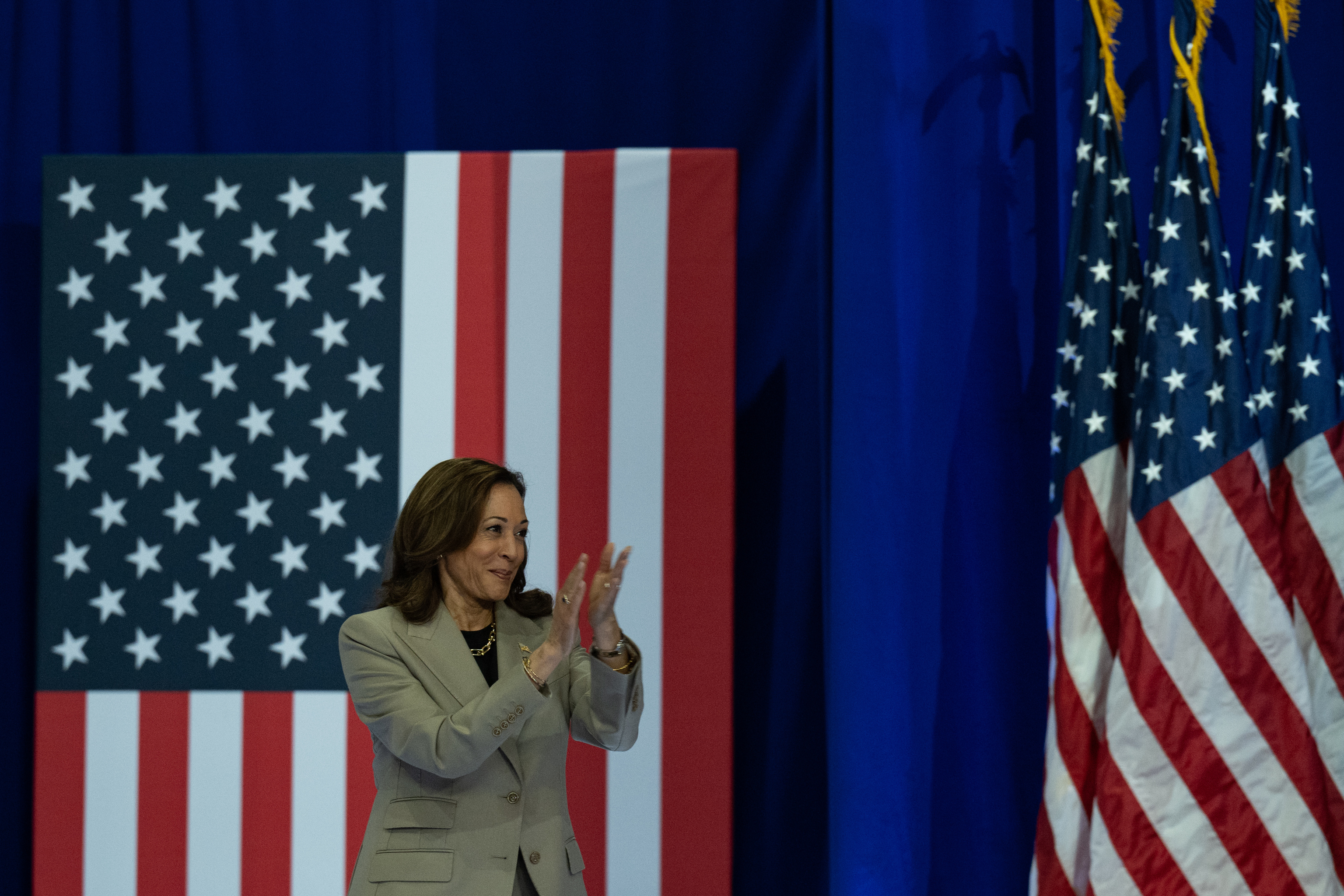 Vice President Kamala Harris