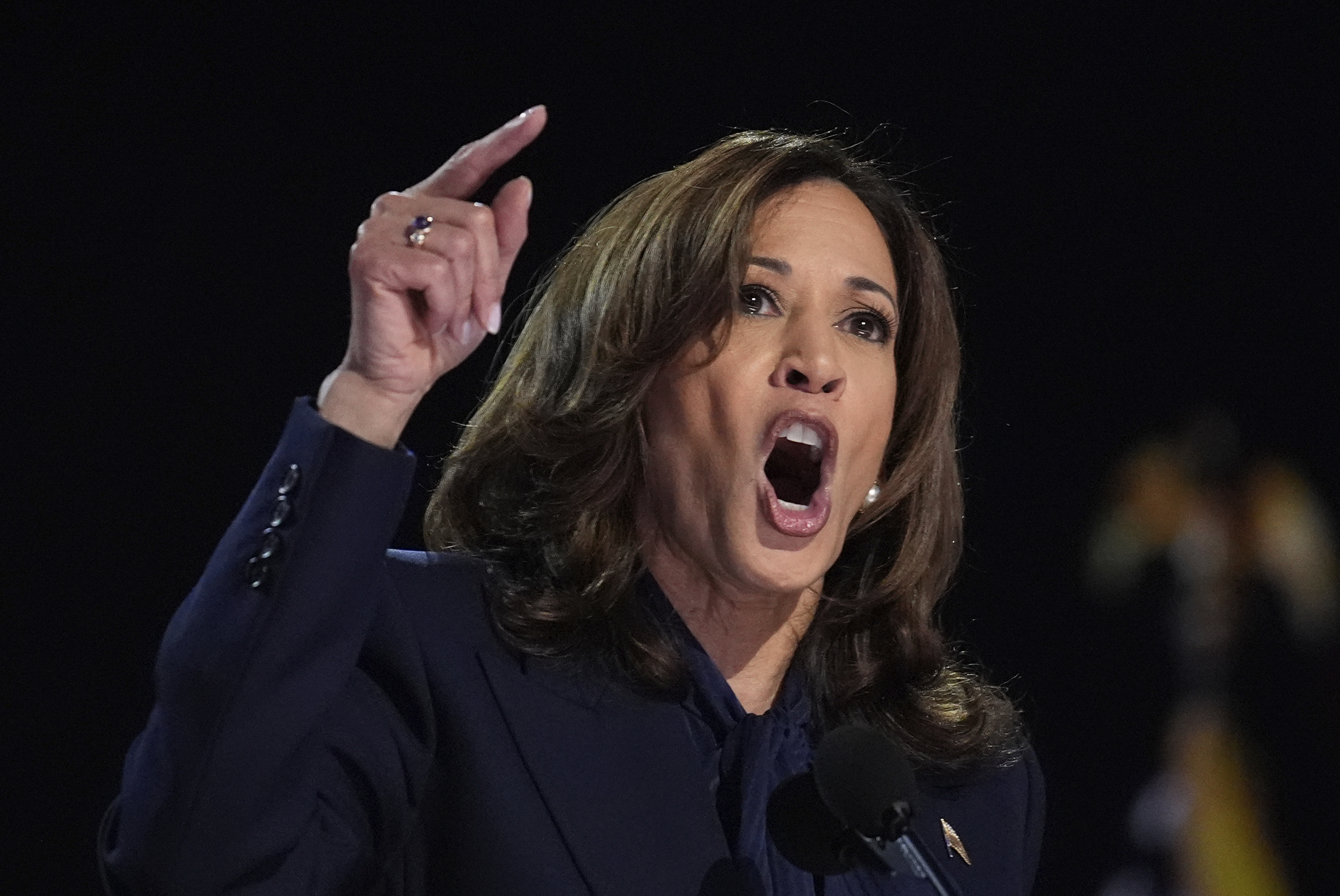 Democratic presidential nominee Vice President Kamala Harris