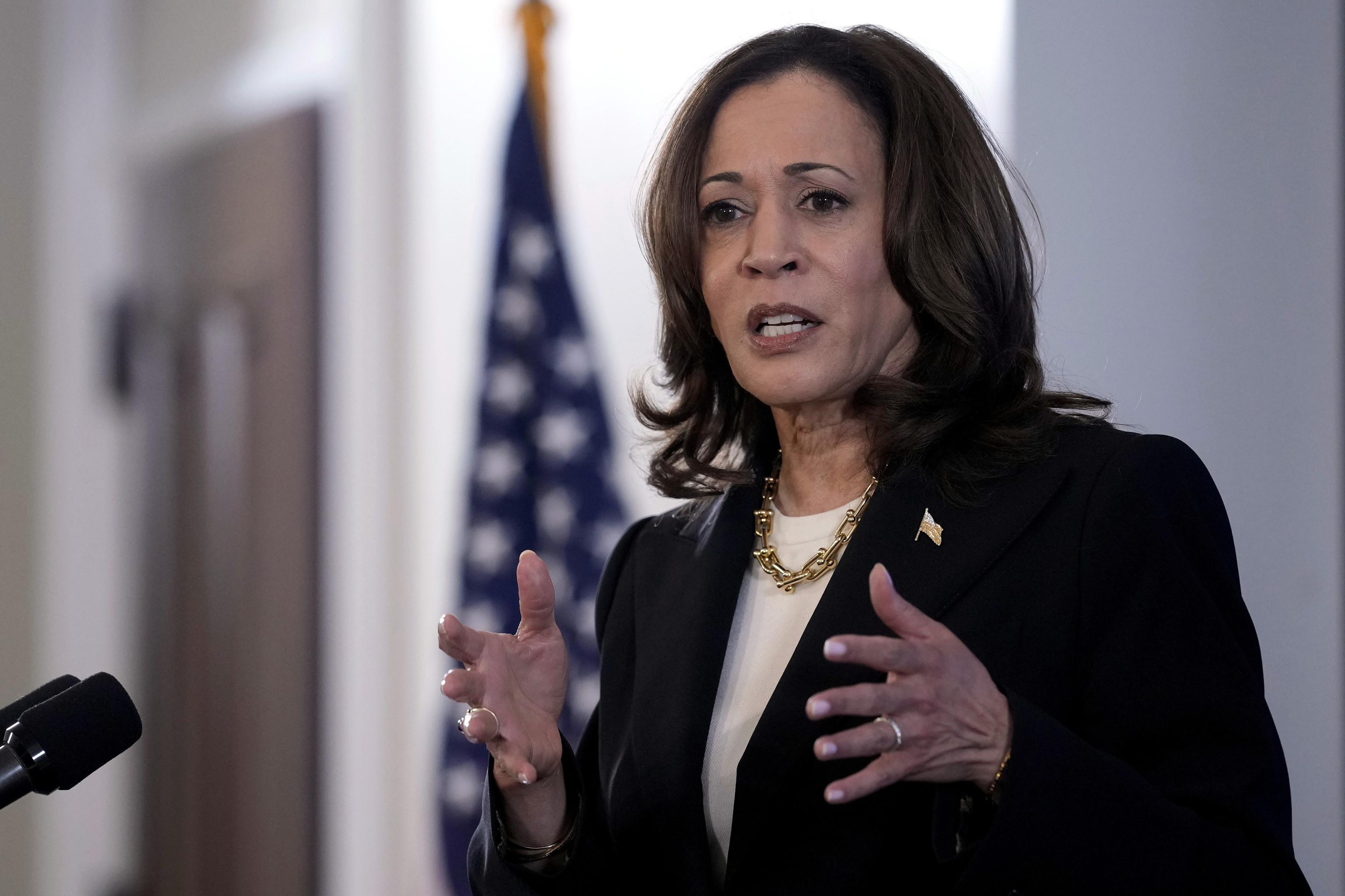 Vice President Kamala Harris