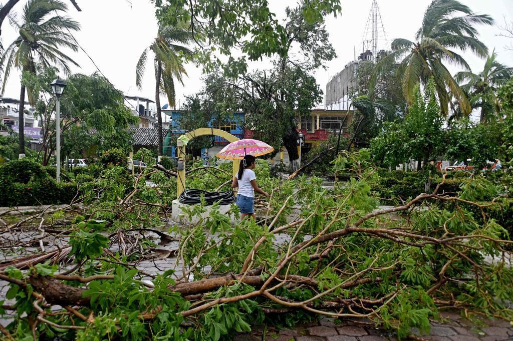 Fallen trees as a result of Hurricane John in San Marcos, Mexico.