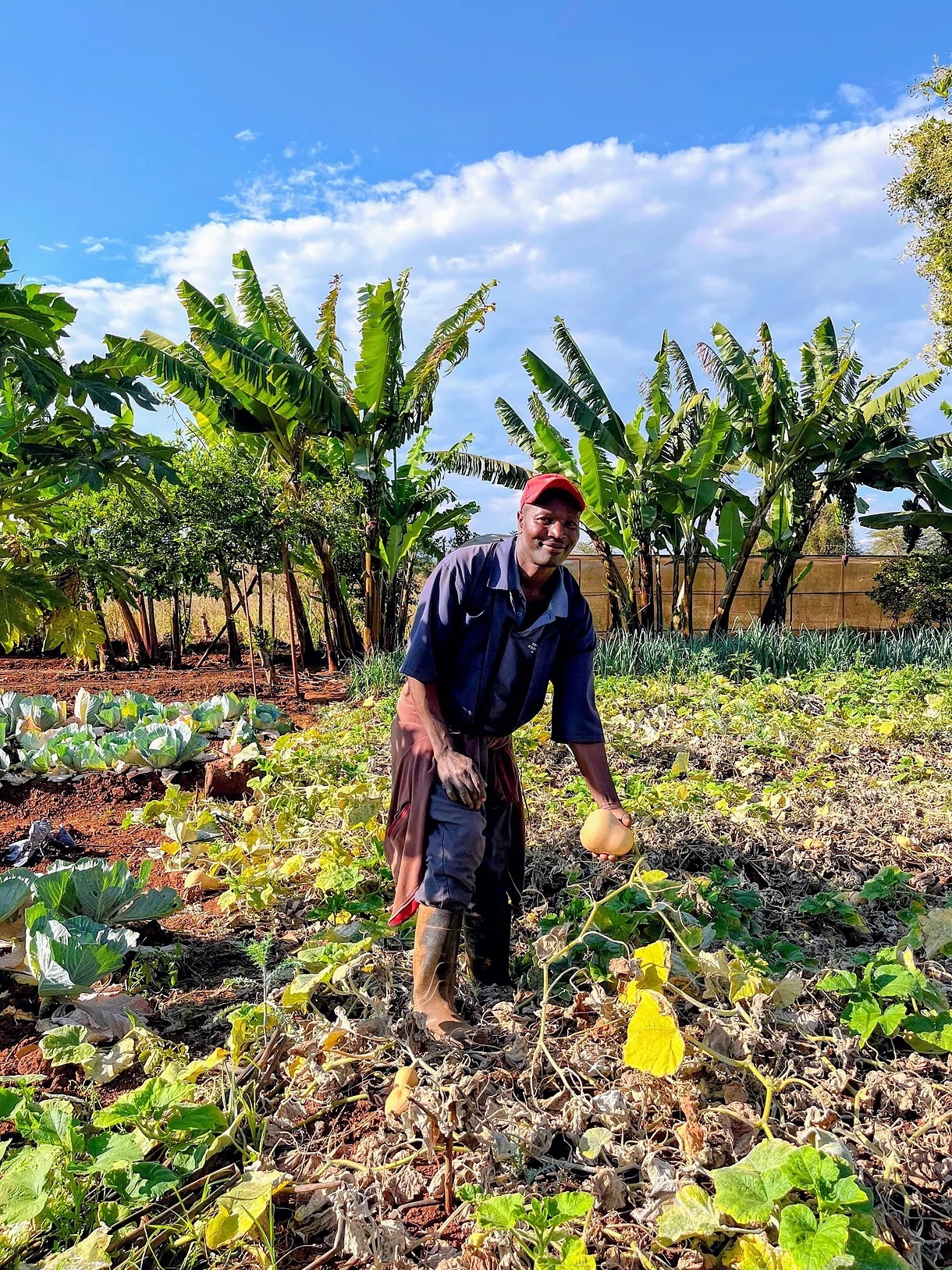 The organic garden next to Bashay Rift Lodge.