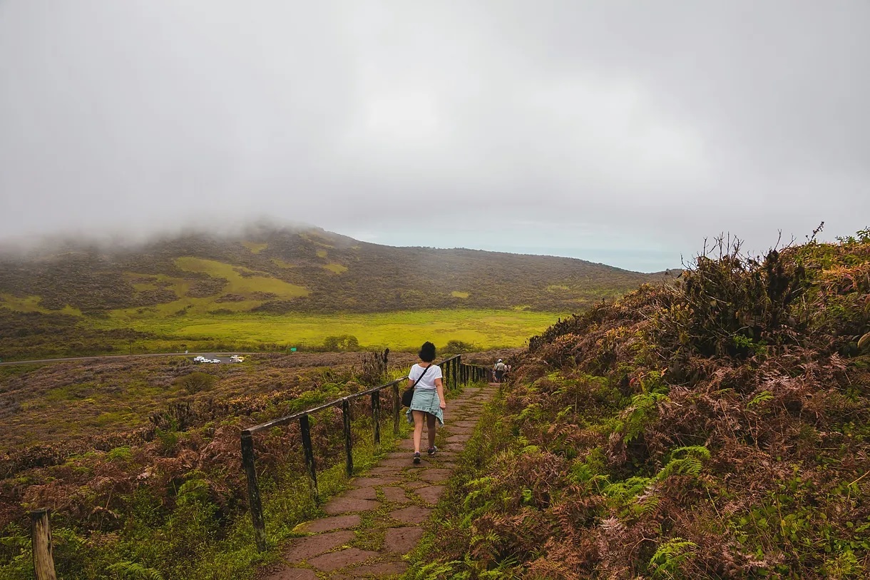 Cultivation in the Galapagos Islands (Ecuador).