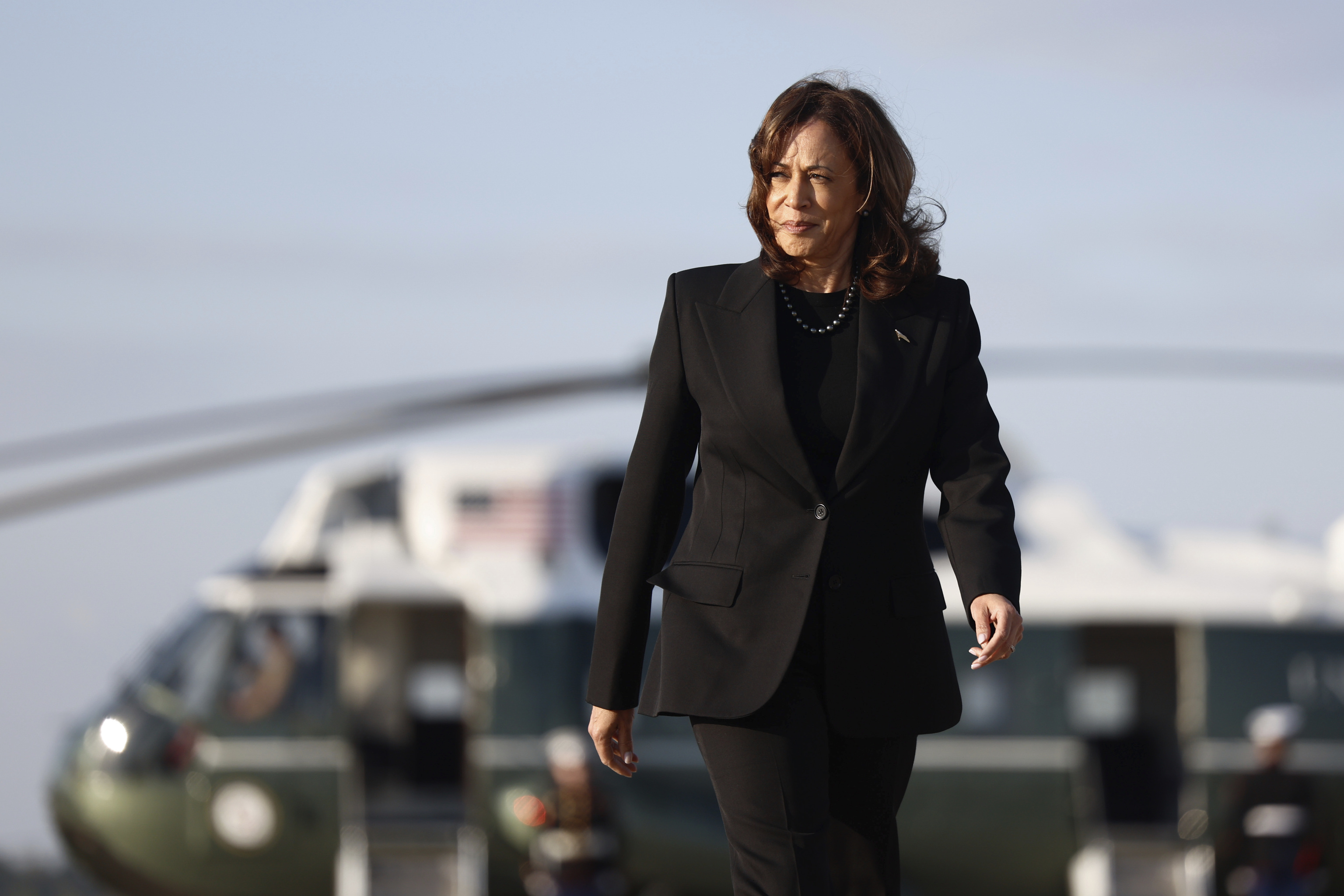 Democratic presidential nominee Vice President Kamala Harris