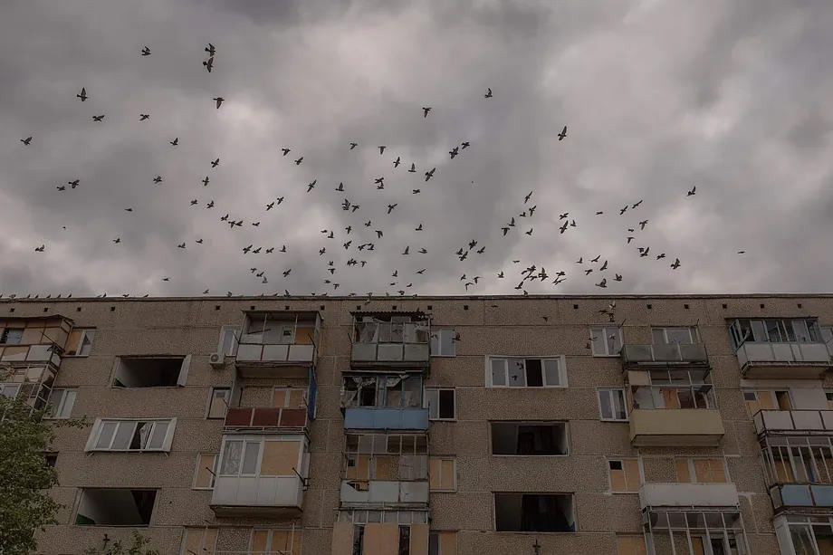 Pigeons fly over a building damaged by bombings in Kurakhove, Donetsk, near the front line.