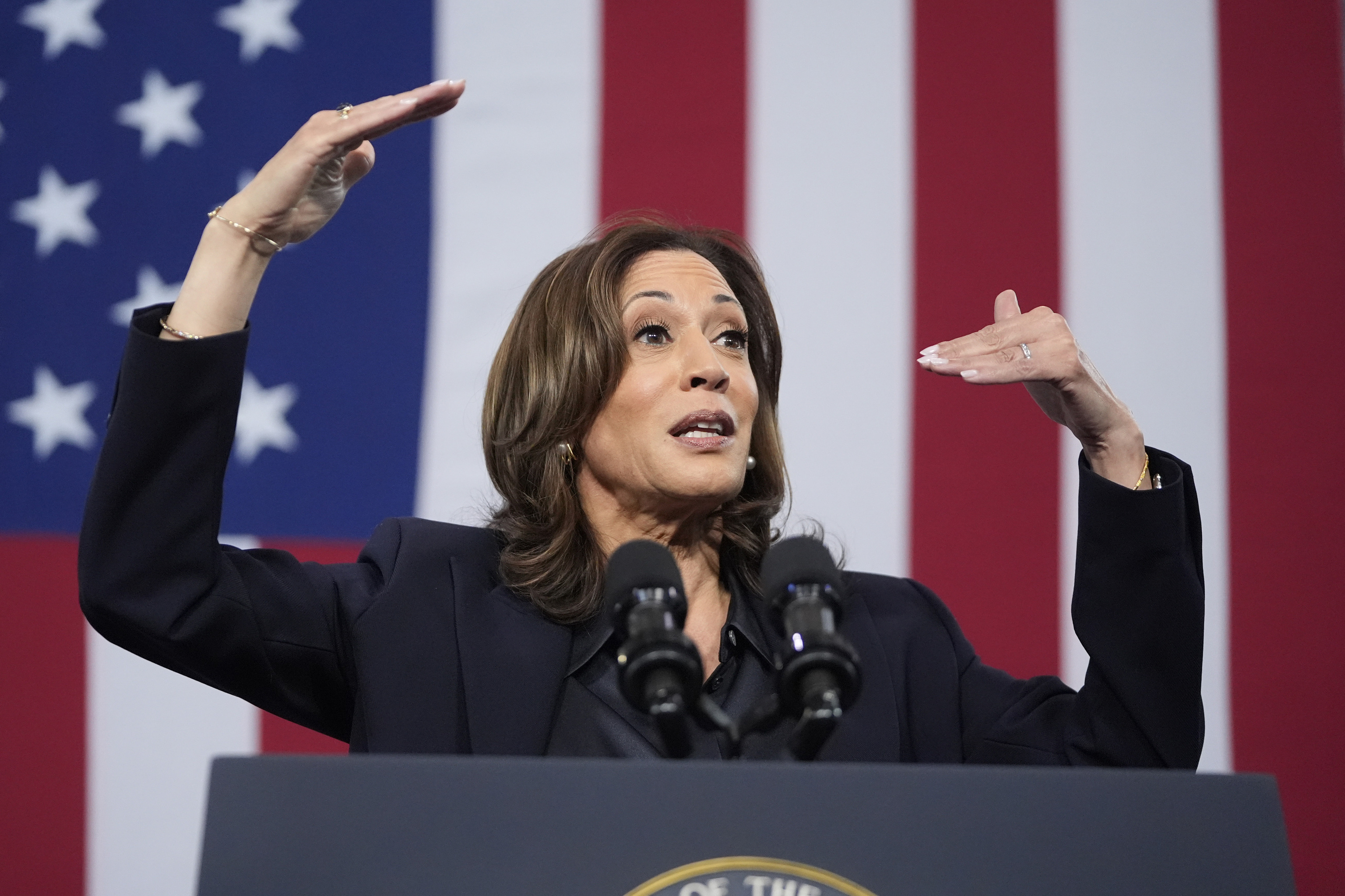 emocratic presidential nominee Vice President Kamala Harris