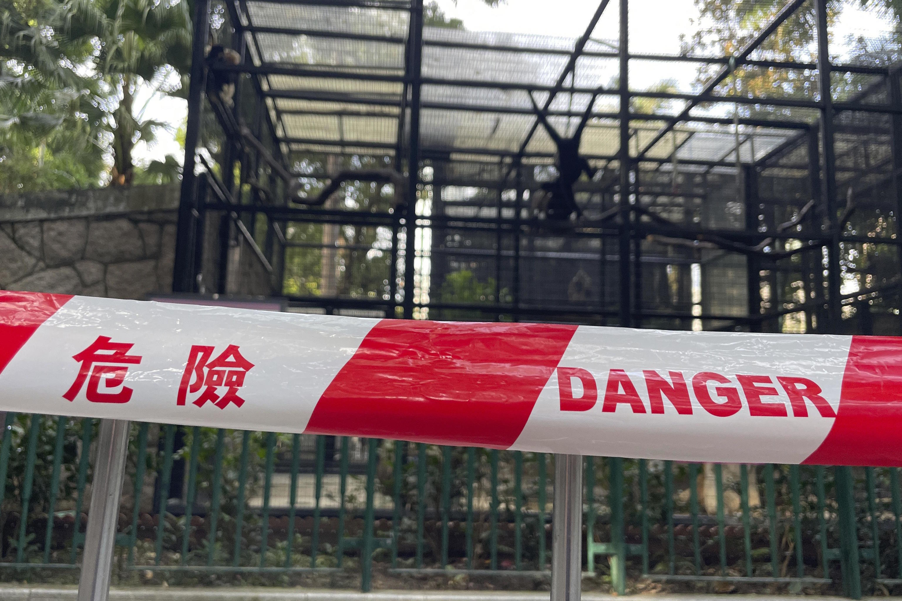 A cordon around the enclosures of monkeys at the Hong Kong Zoological.