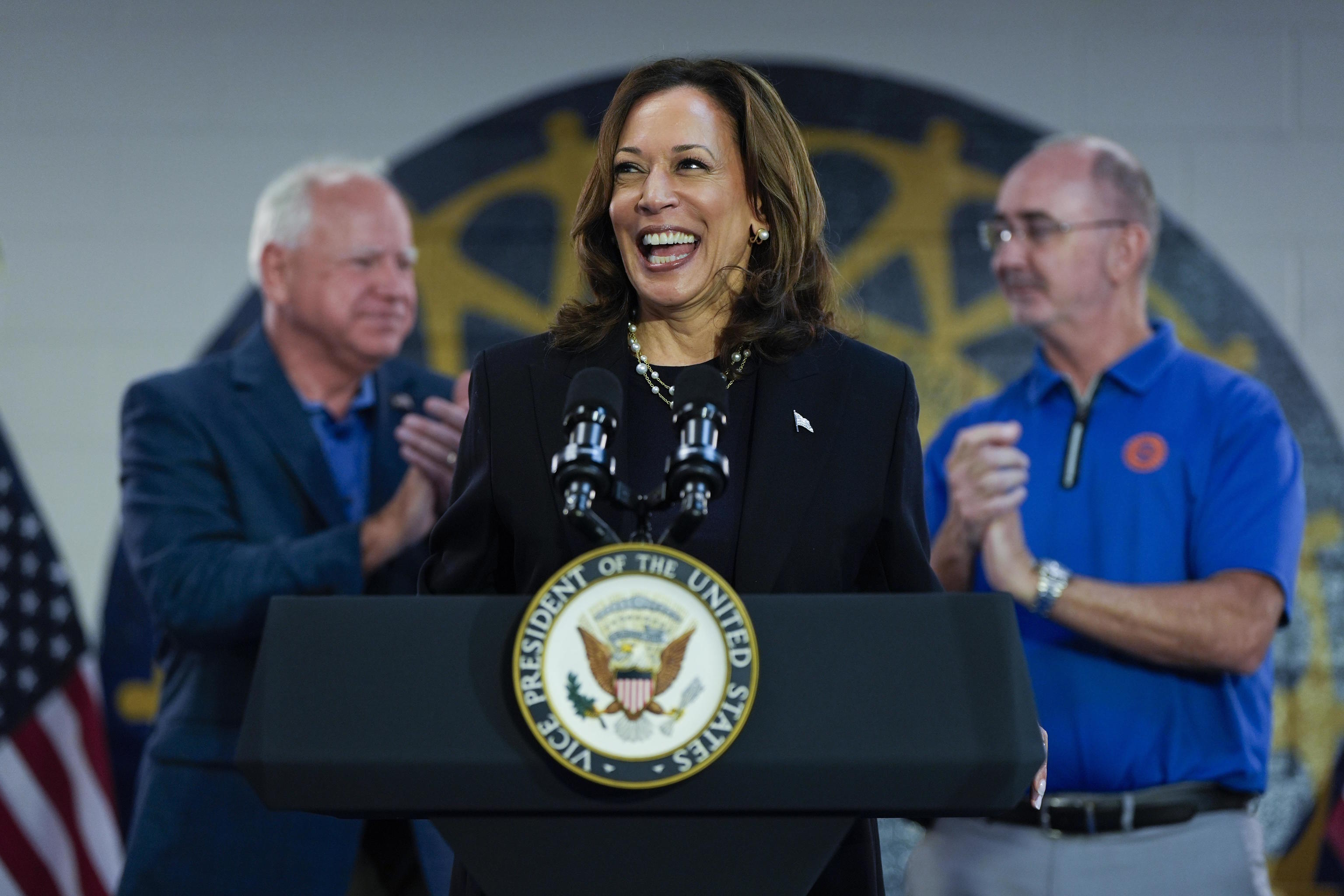 Democratic presidential nominee Vice President Kamala Harris.