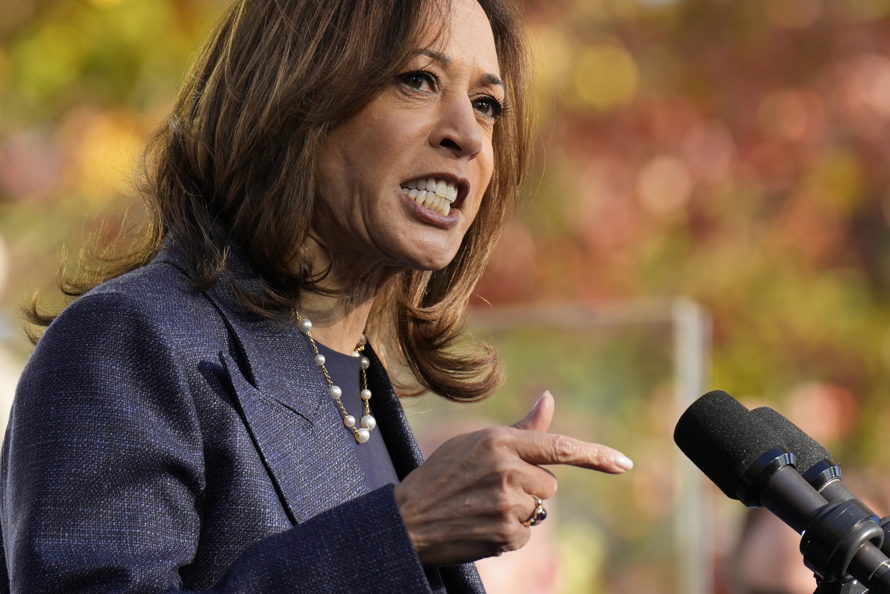 Democratic presidential nominee Vice President Kamala Harris