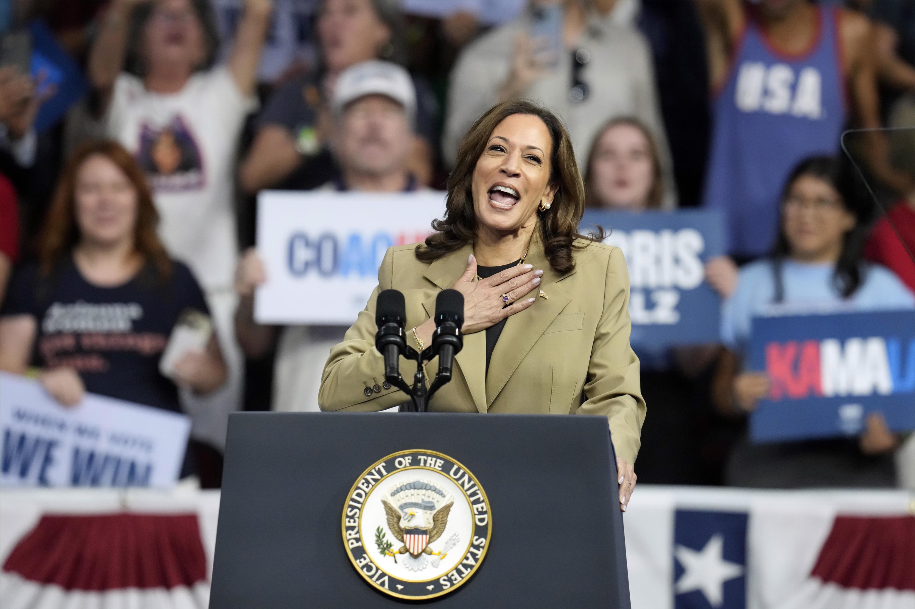 Kamala Harris speaks at a campaign rally.