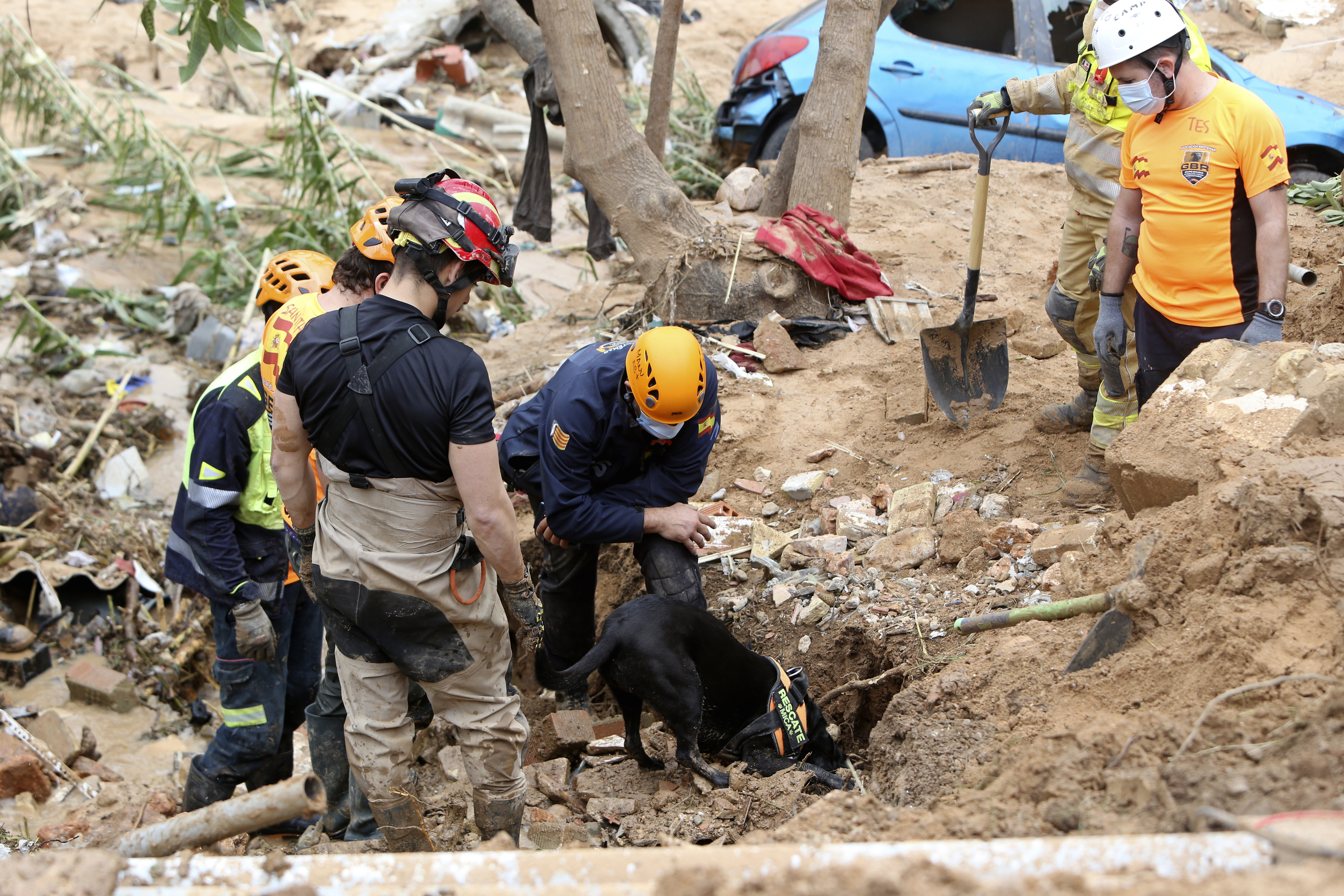 A rescue dog looks for victims after floods in Paiporta near Valencia, Spain.