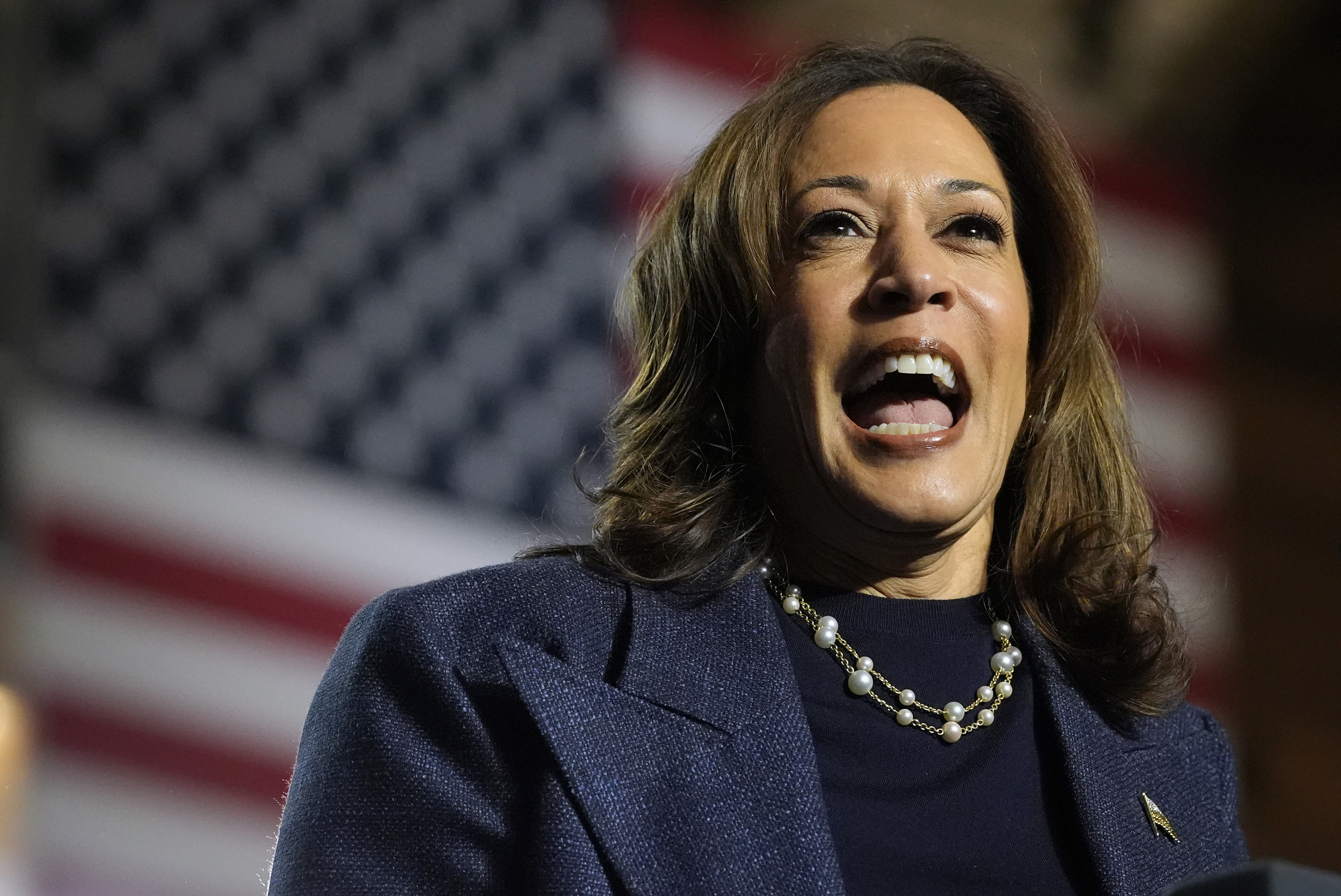 Democratic presidential nominee Vice President Kamala Harris.