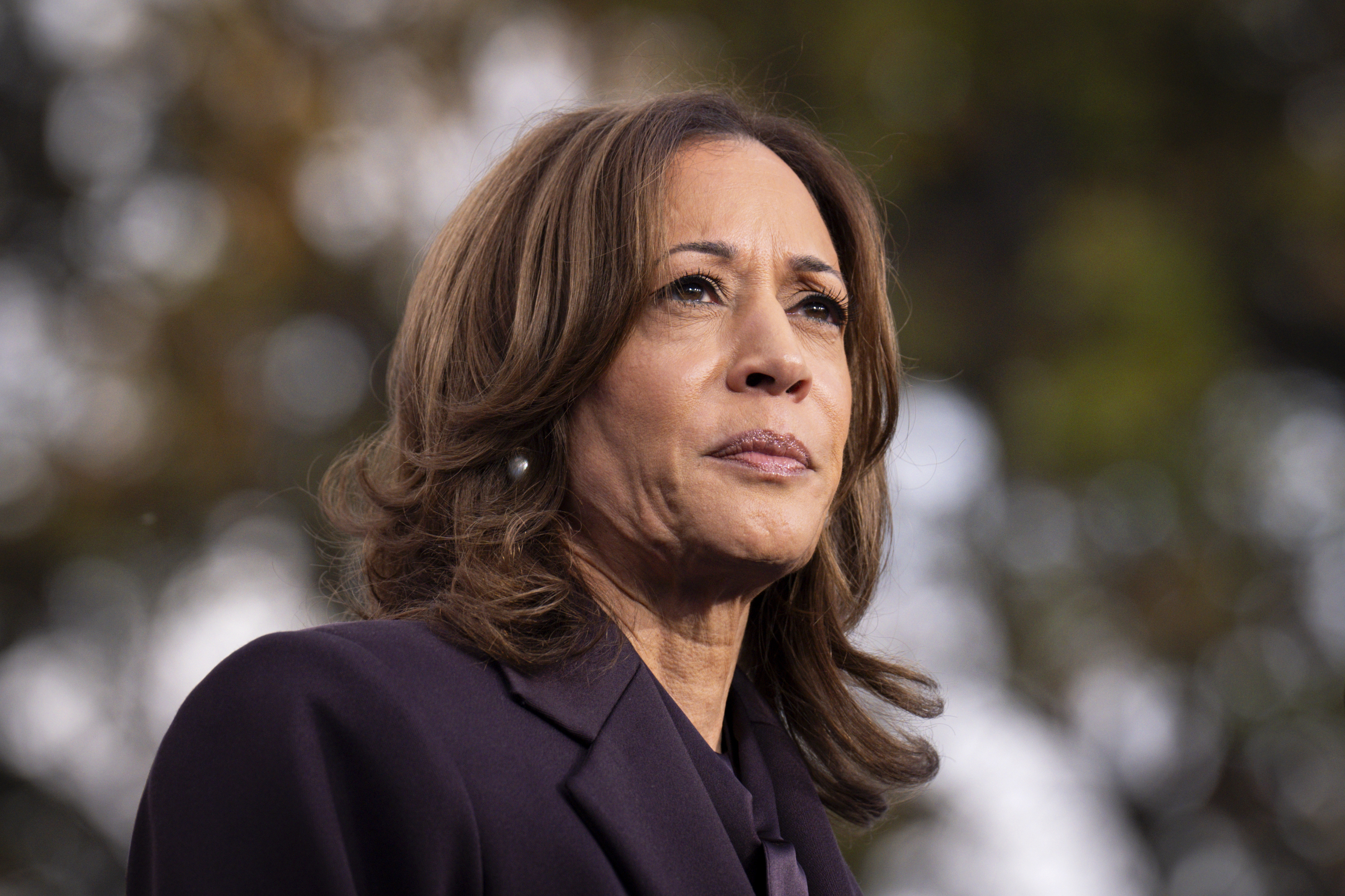 Democratic presidential nominee Vice President Kamala Harris.