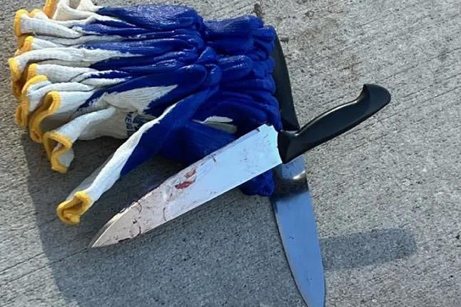 The knives seized from the arrested suspect.