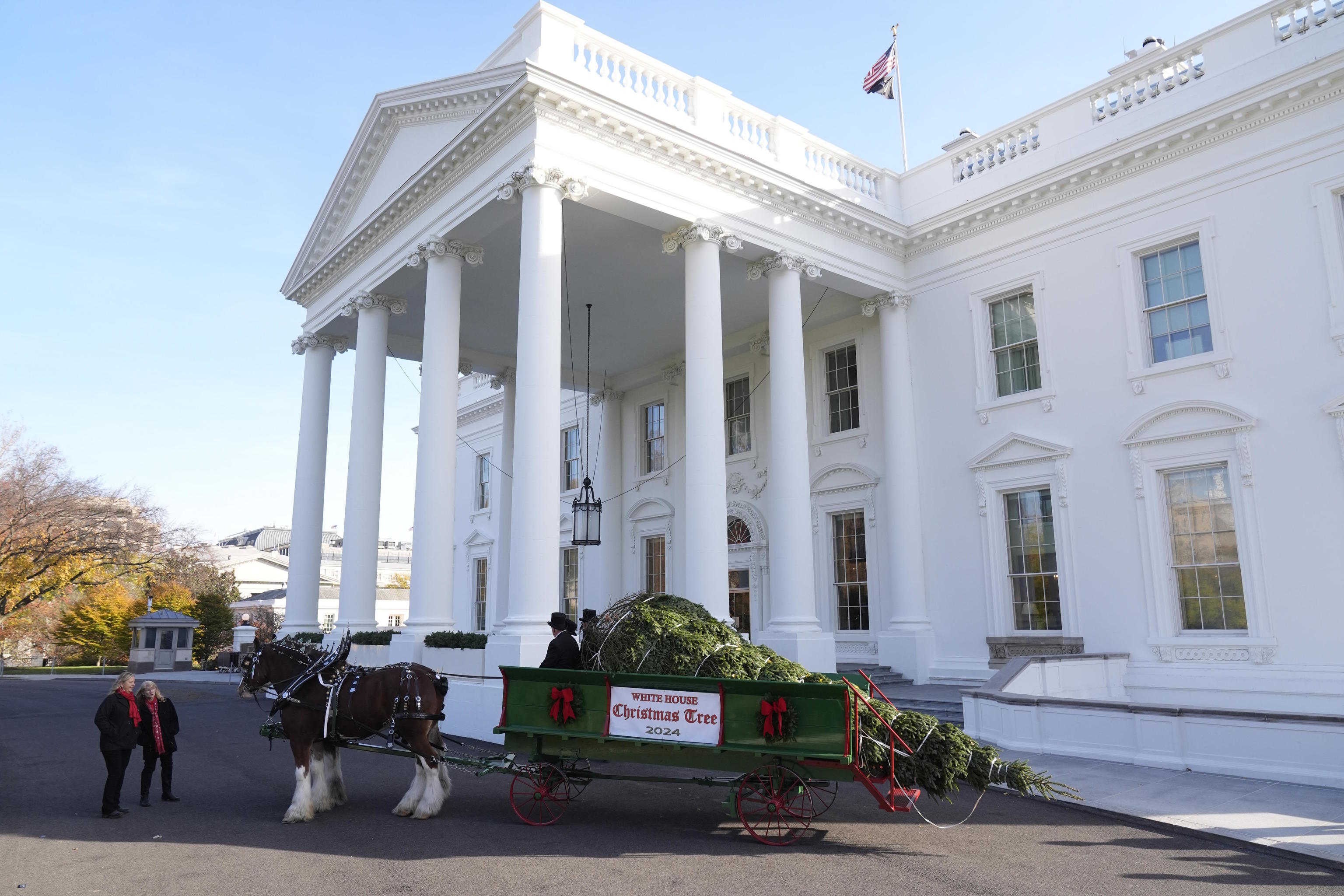 The official 2024 White House Christmas Tree, pulled on a carriage.