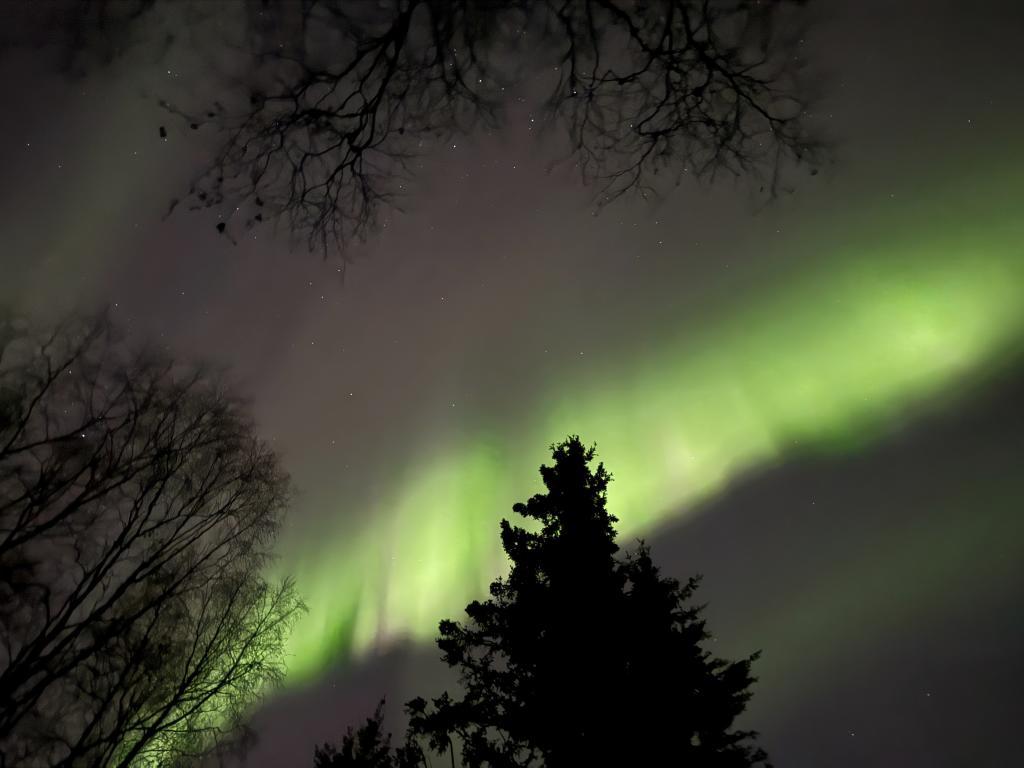 The northern lights appear over Anchorage, Alaska