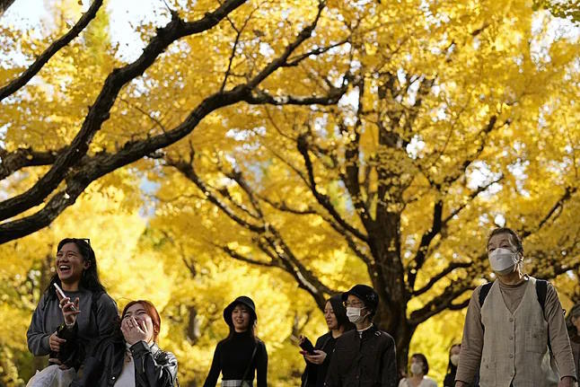 People walk along a tree-lined avenue in Tokyo.