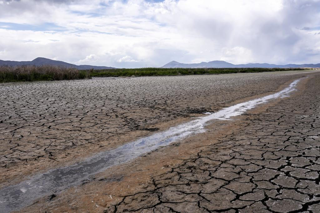 Cracked earth of a former wetland near Tulelake, Calif.