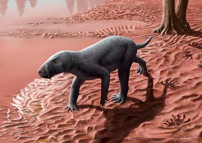 Recreation of the gorgonopsid whose remains were found in Mallorca.