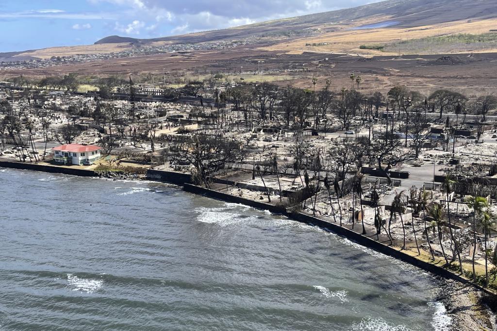 This photo provided by the Hawaii Department of Land and Natural Resources shows burnt areas in Lahaina on the Maui island