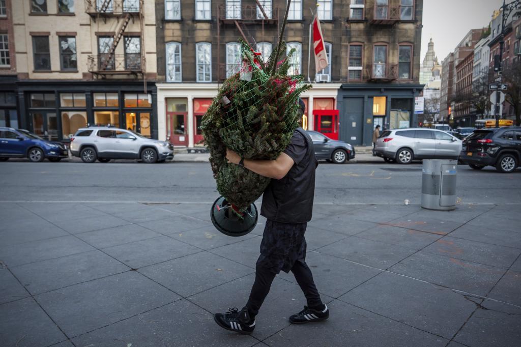 Andrew Leitz carries a Christmas tree from SoHo Trees to his apartment building