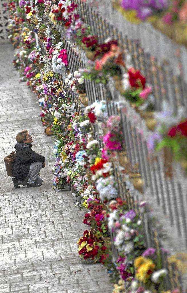 The flower-filled niches in a Madrid cemetery