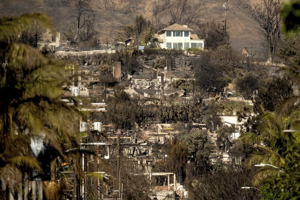 A home stands among residences destroyed by the Palisades Fire in the Pacific Palisades neighborhood of Los Angeles