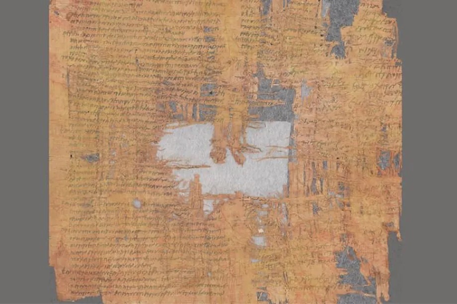 The studied papyrus.