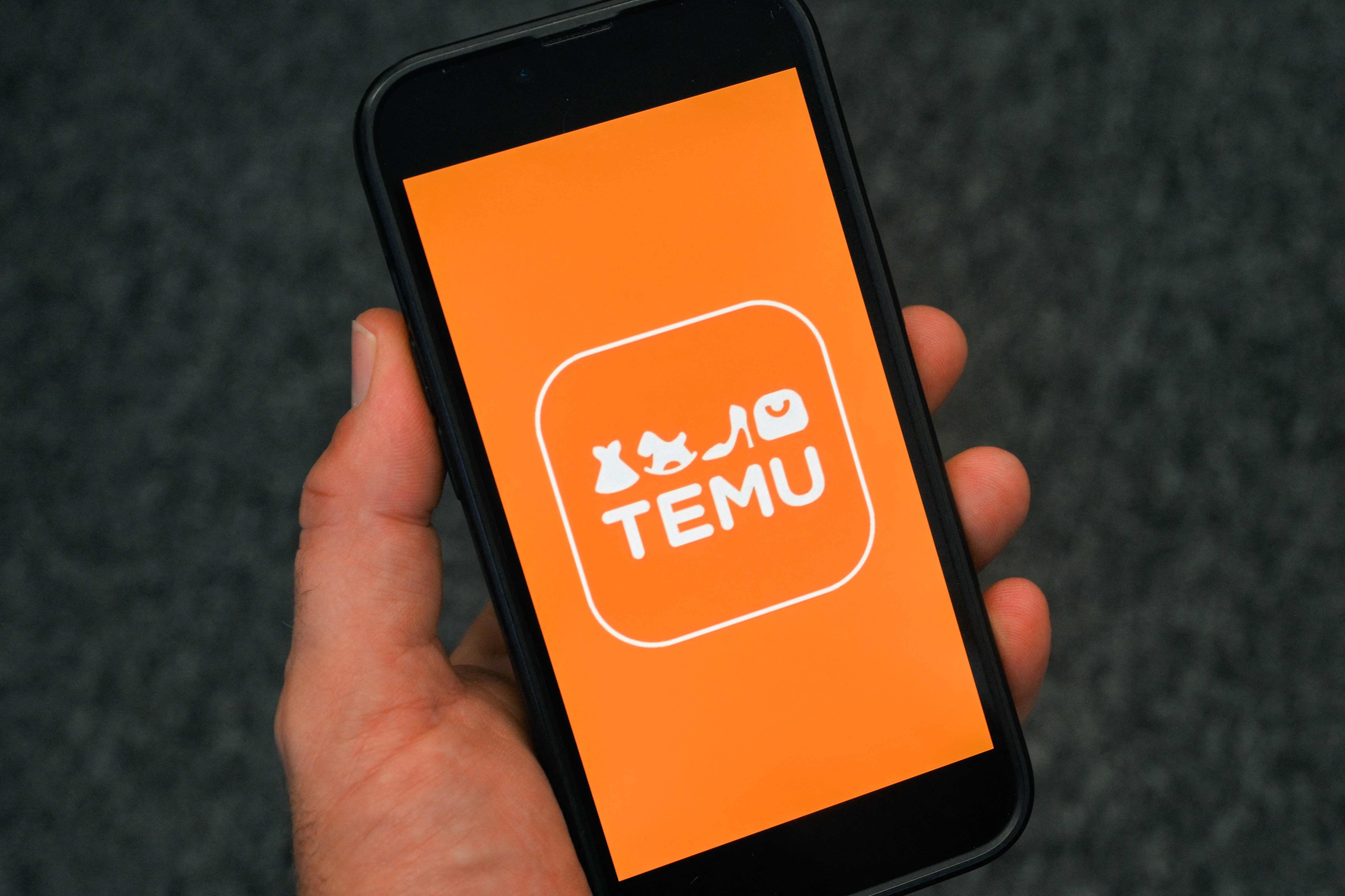 fast fashion e-commerce company Temu displayed on a mobile phone.