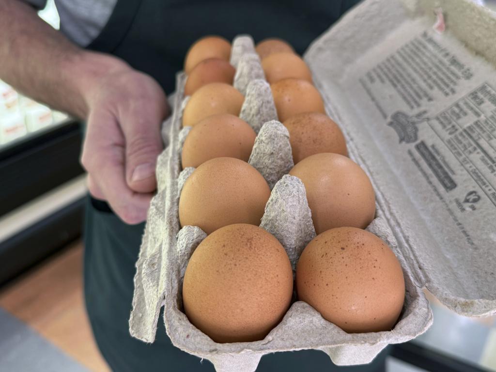 An open carton of eggs in Alameda.