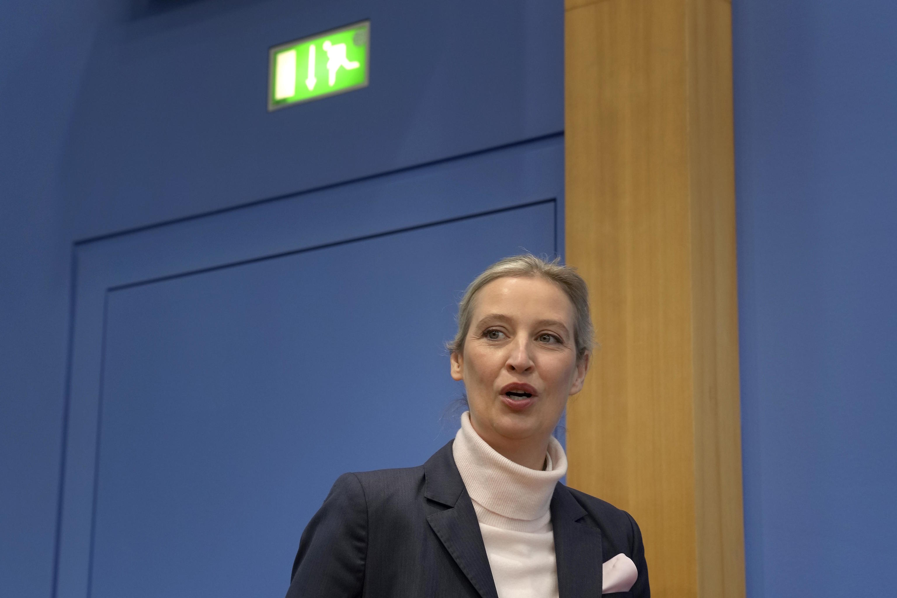 Alice Weidel, co-leader of the Alternative for Germany Party (AfD).