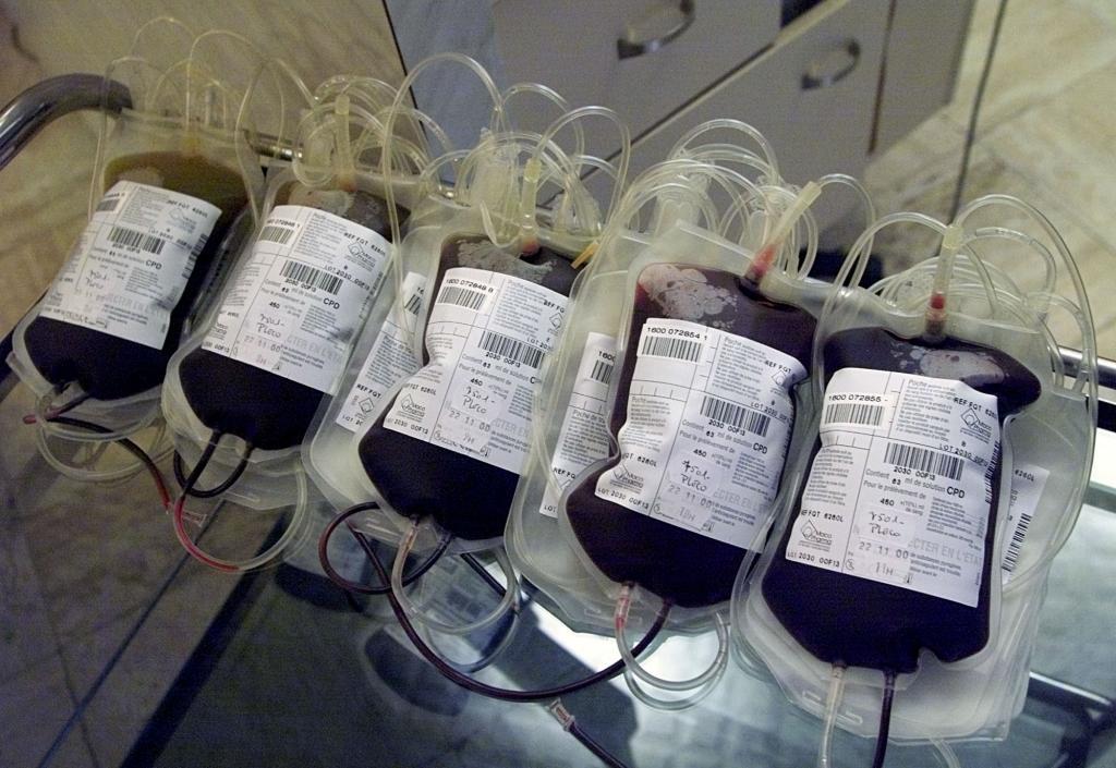 Blood bags.