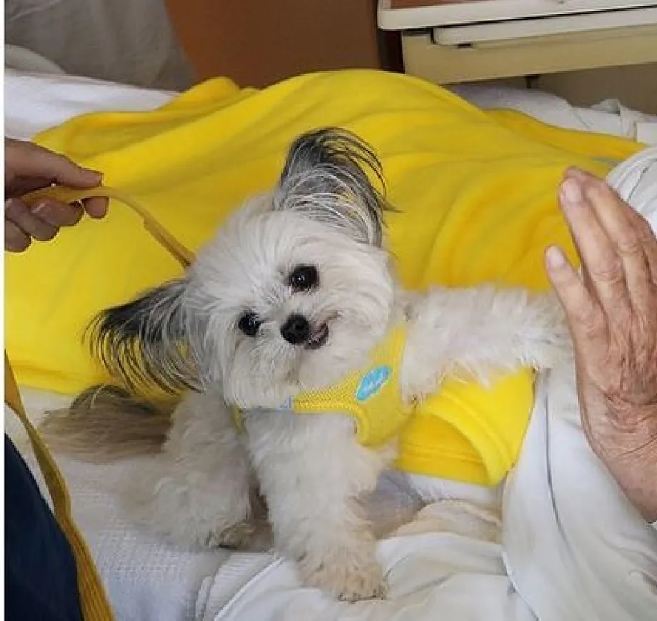 Norbert high-fives an elderly person.