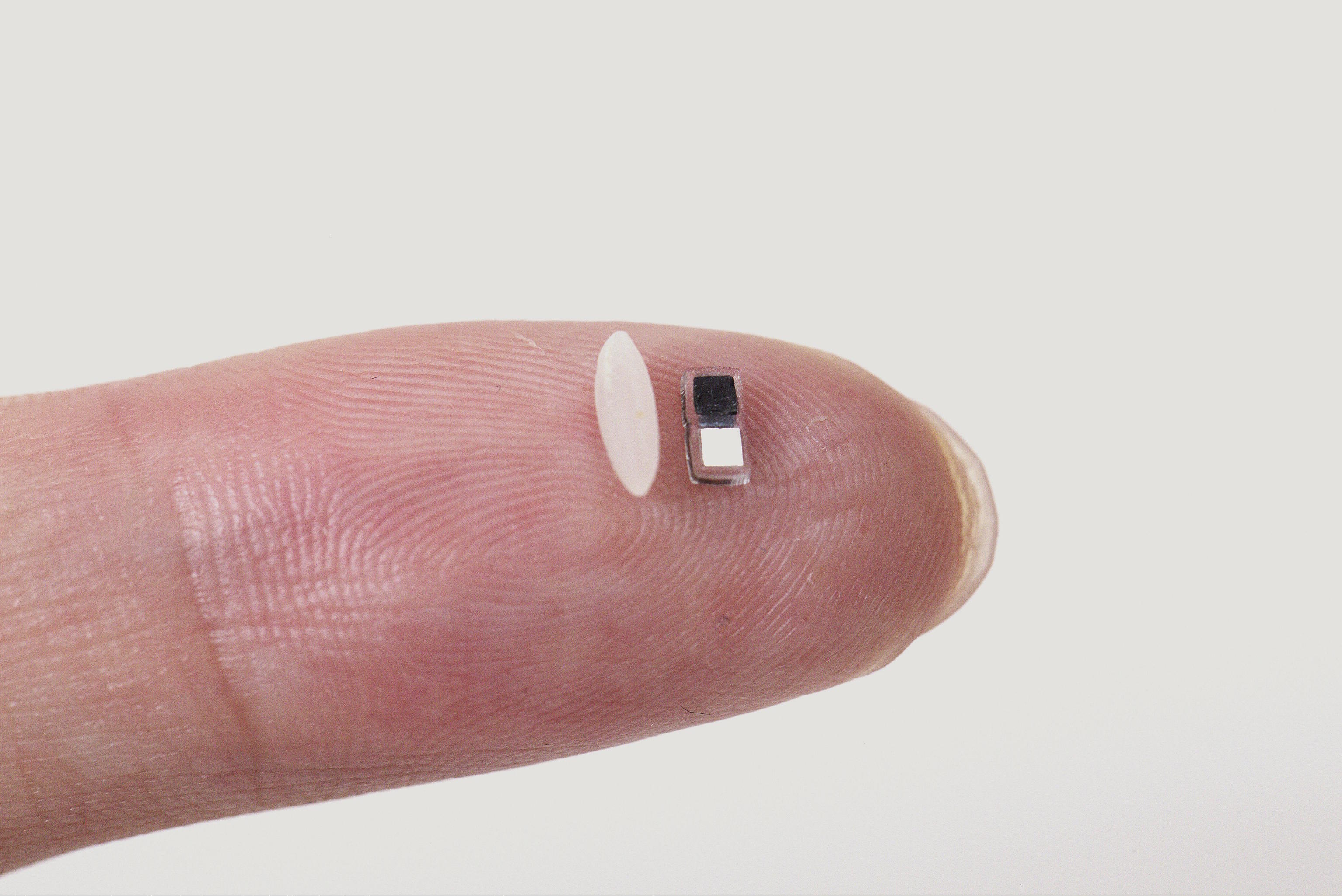 Comparison of the size of the experimental pacemaker with a grain of rice.